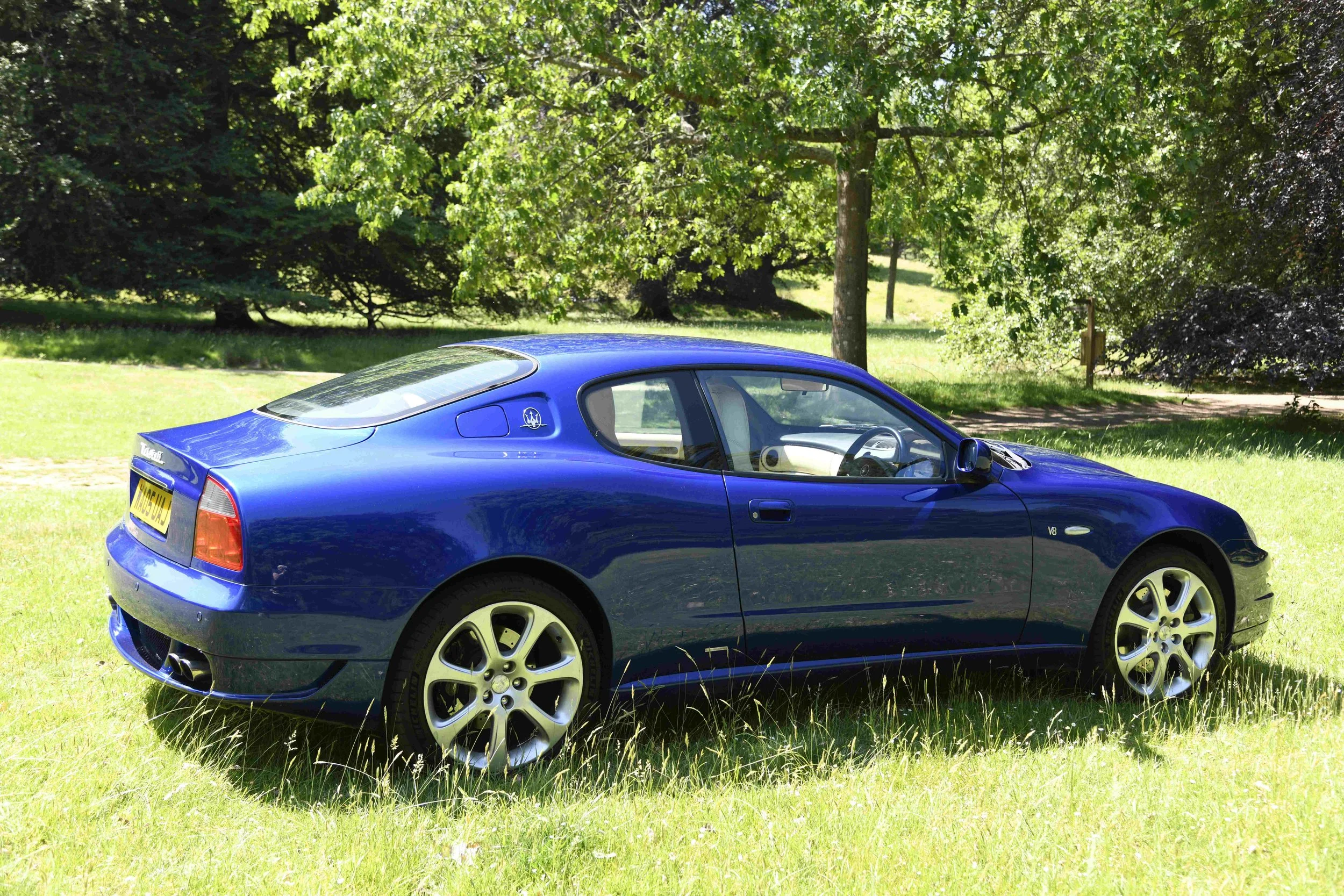 Blue sports car parked on grass with trees in the background.