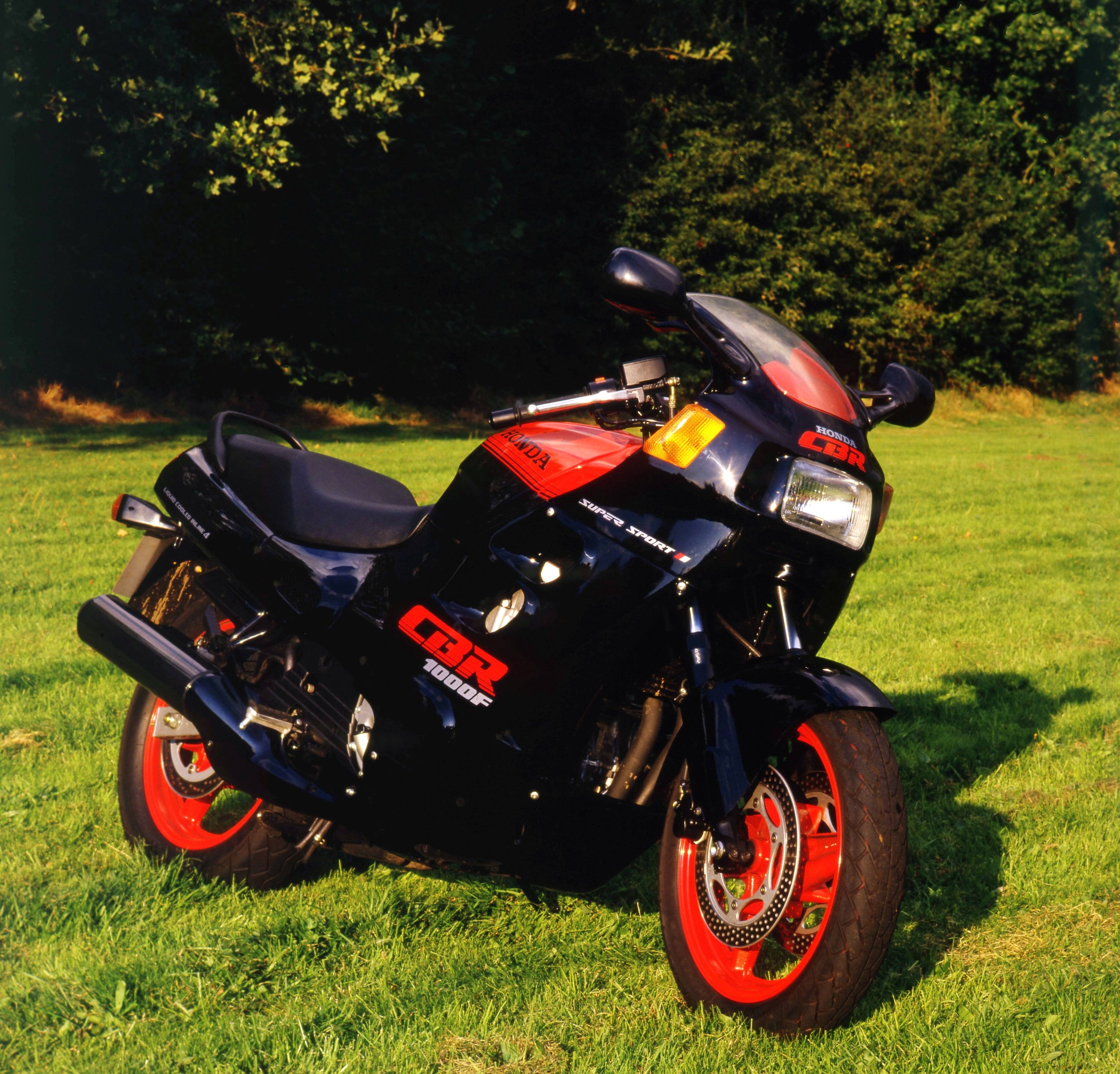 A red and black Honda CBR motorcycle parked on grass with dense green trees in the background.