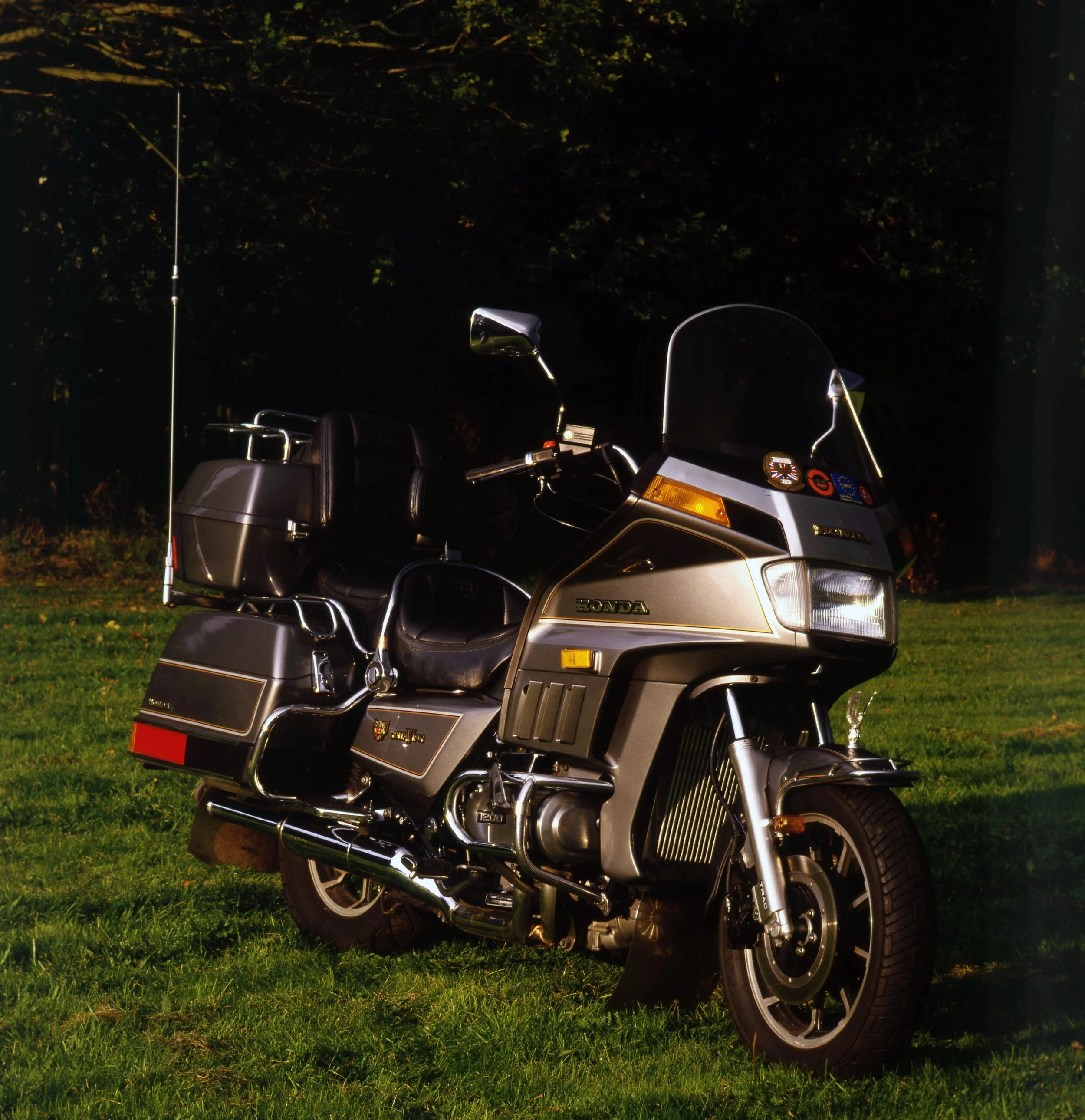 A silver Honda Gold Wing motorcycle parked on grass with a windshield, side mirror, and dashboard visible, set against a background of trees and foliage.