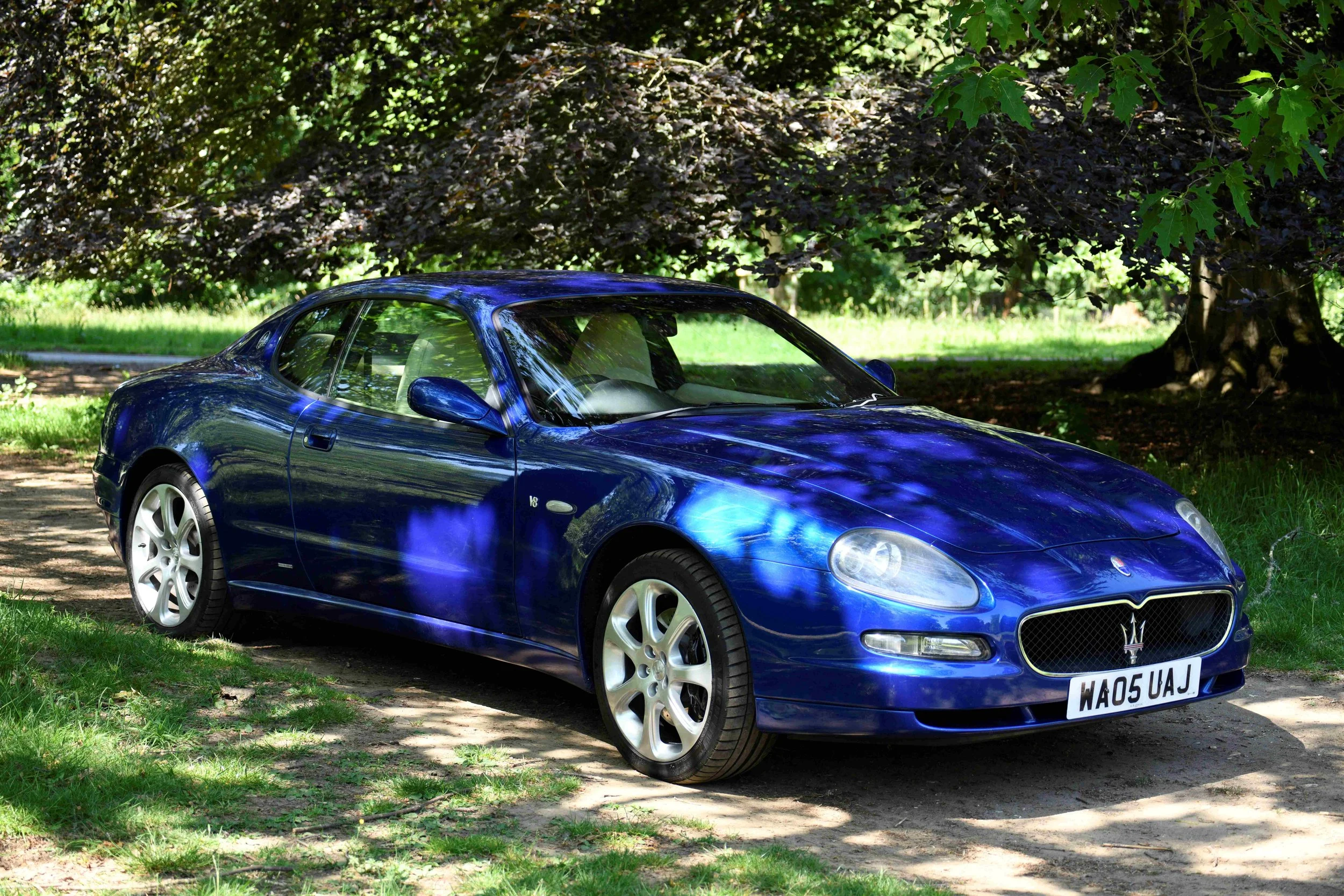Blue sports car parked under trees in a grassy area.