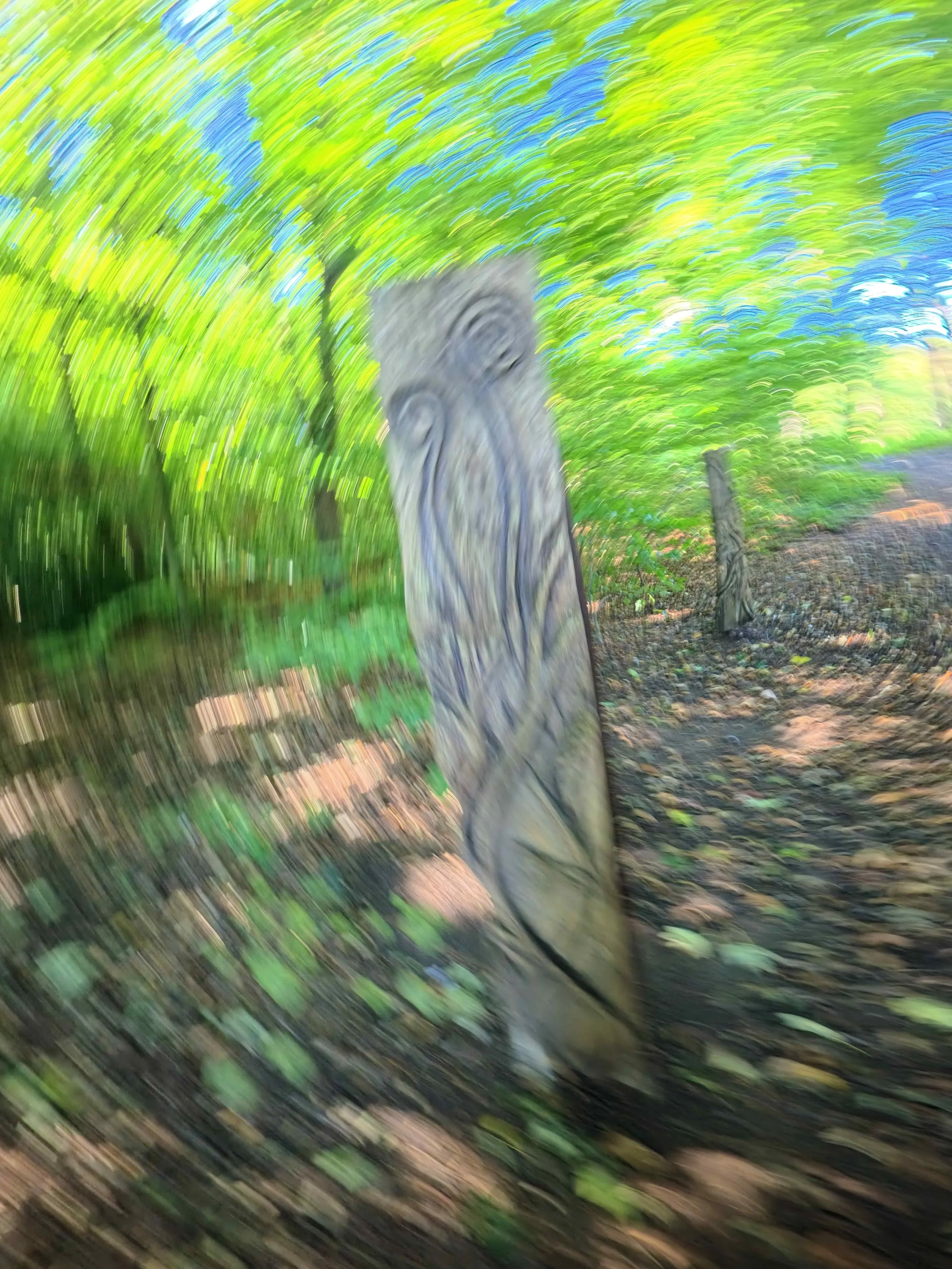 Blurred photo of a wooden totem pole with lush green trees in the background.