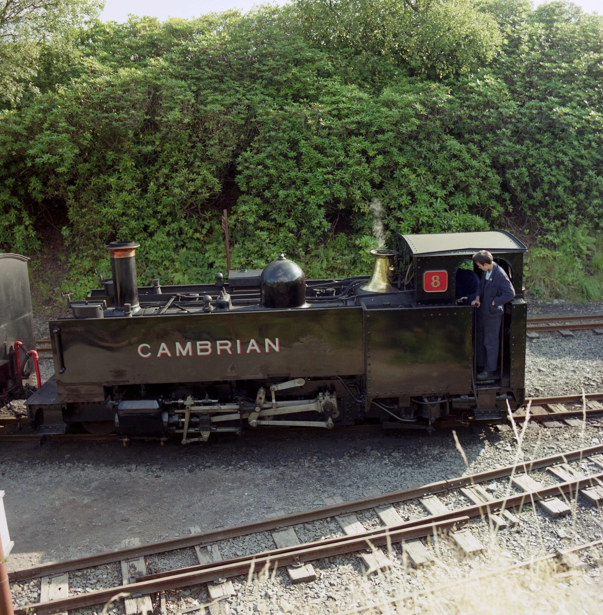 A vintage steam locomotive train with the number 8 on its side traveling on railway tracks, with greenery and trees in the background.