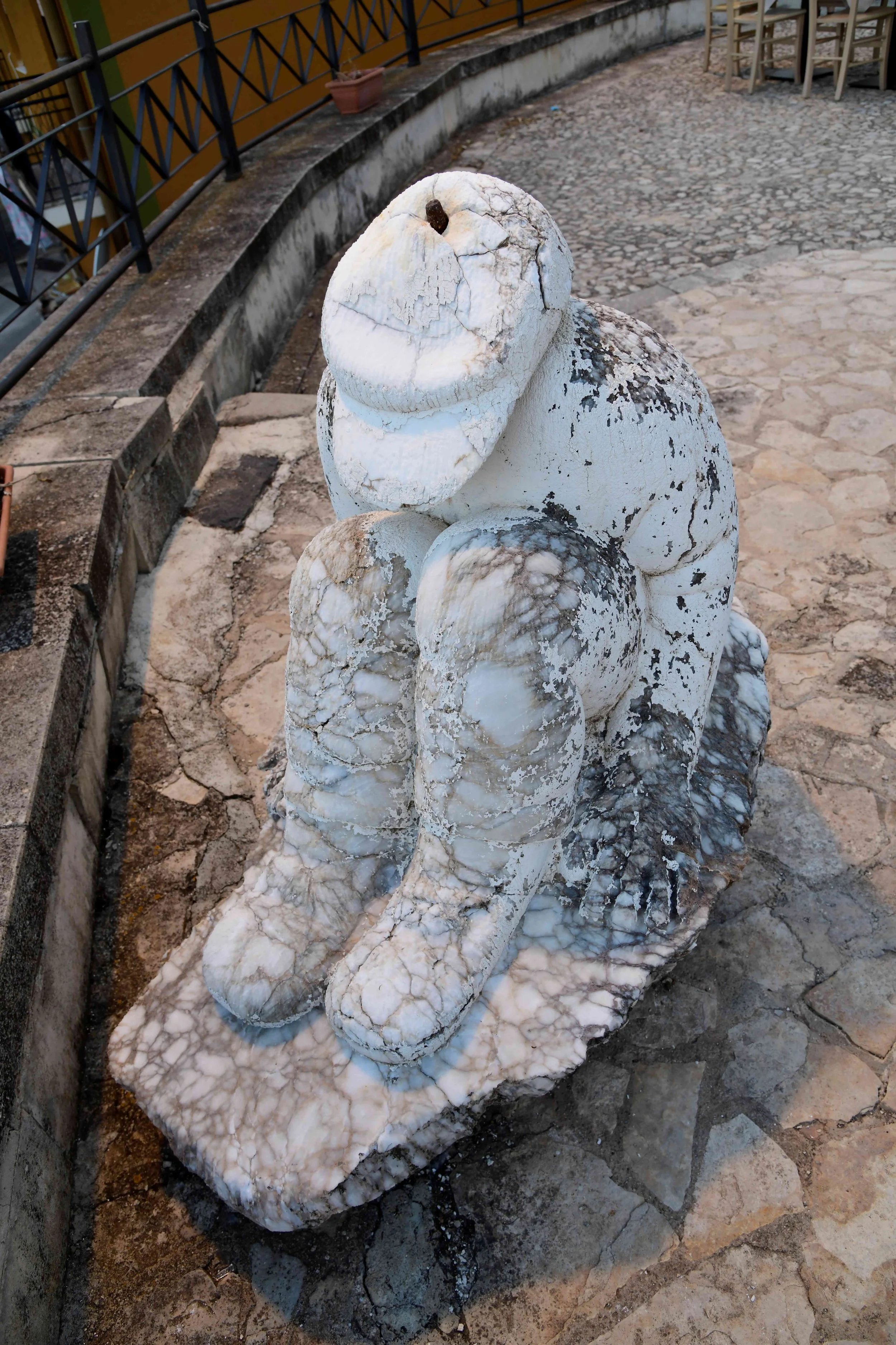 _DSC518209 - Copy.JPG