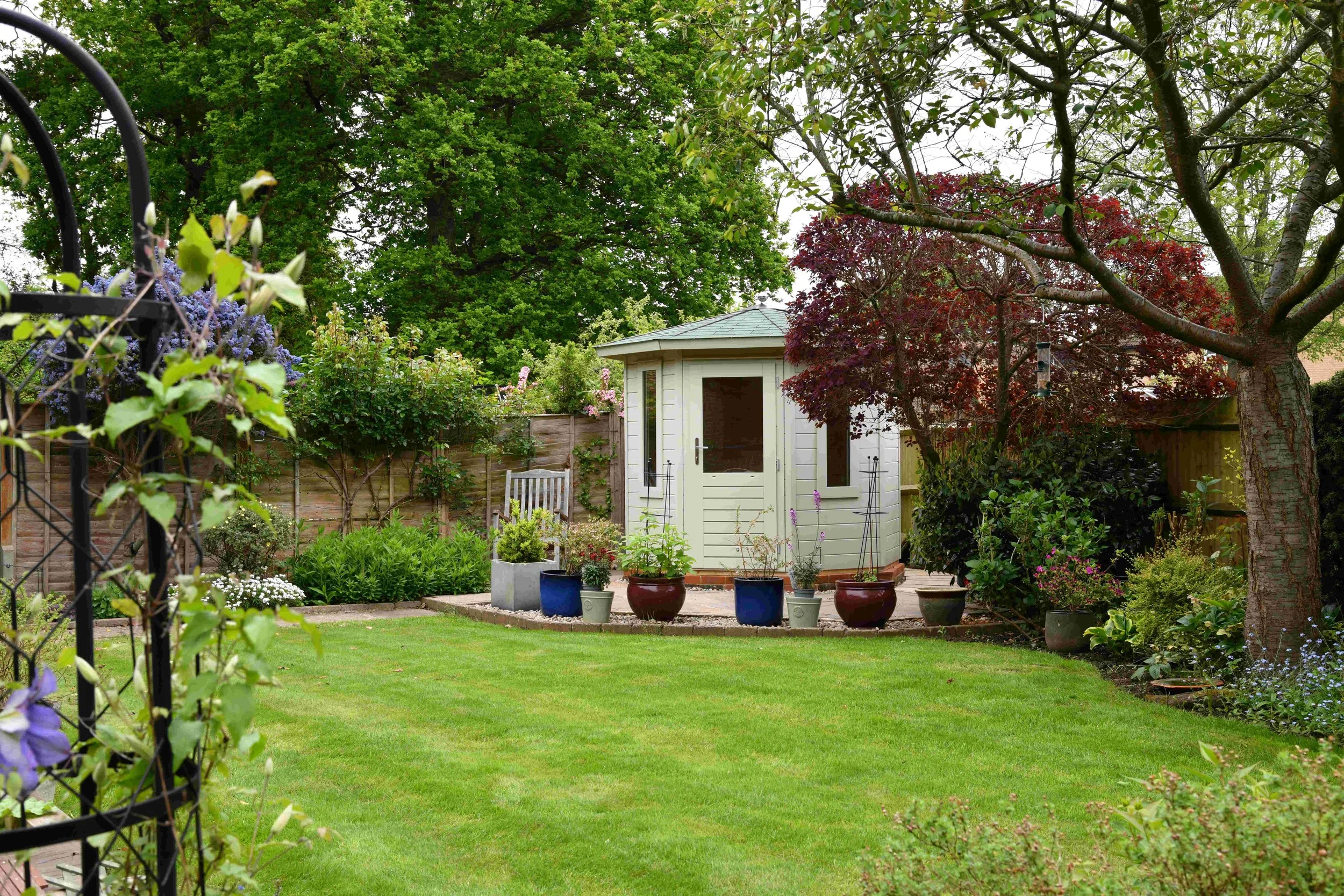 A lush backyard garden with a well-maintained lawn, potted plants, flowering shrubs, and trees, including a small white shed with a green roof in the background.