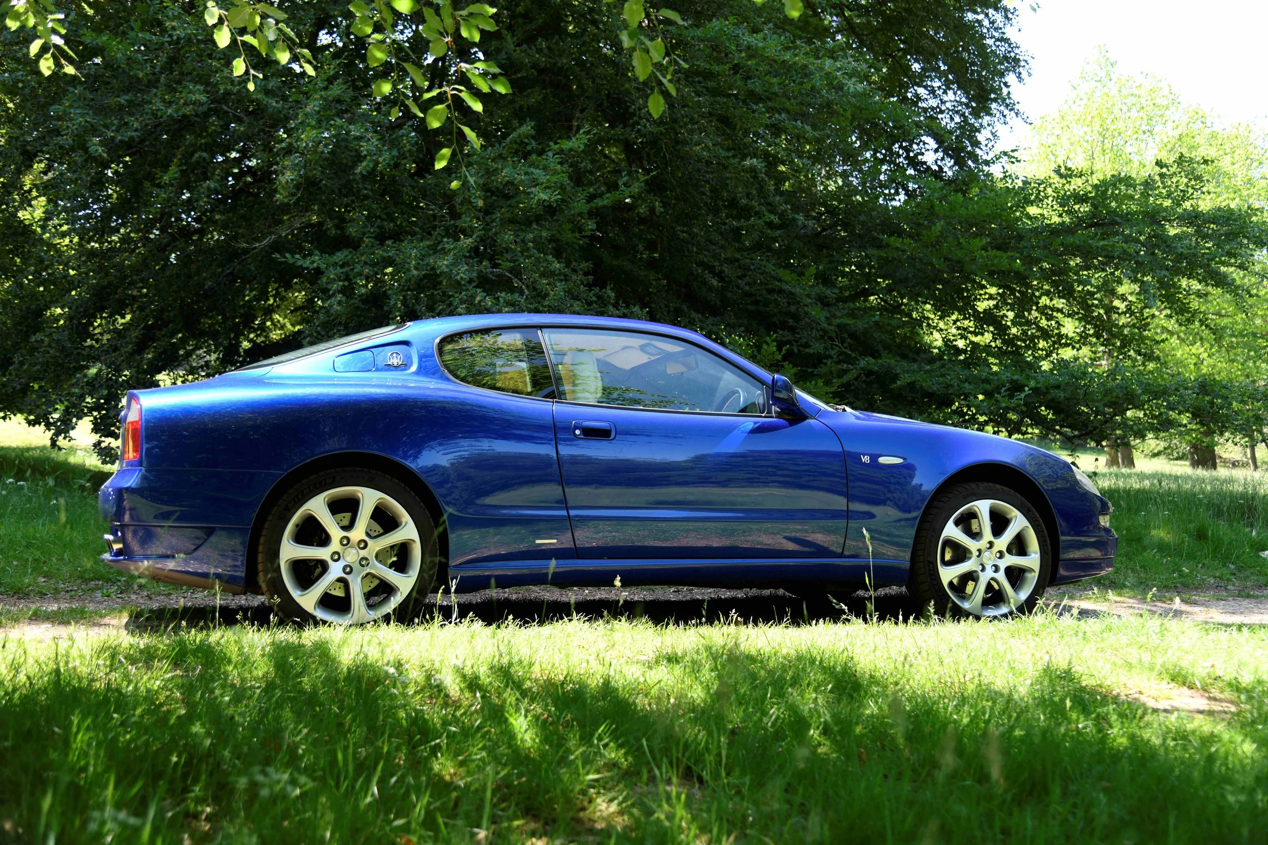 A blue sports car parked on grass under trees in a park-like setting.