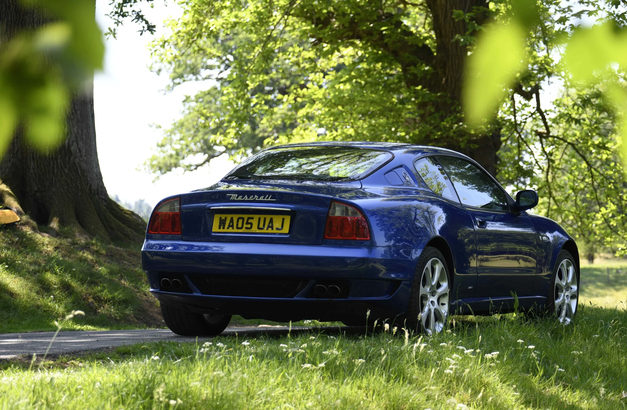 A blue Maserati sports car parked under large green trees on a grassy area.