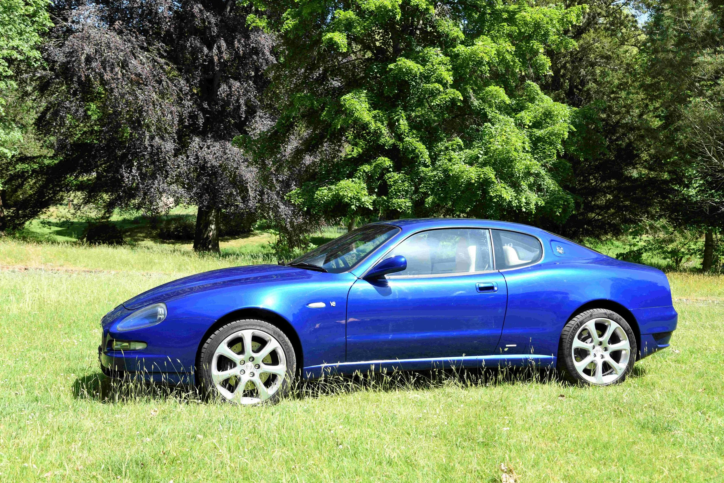 A blue sports car parked on a grassy field with green trees in the background.