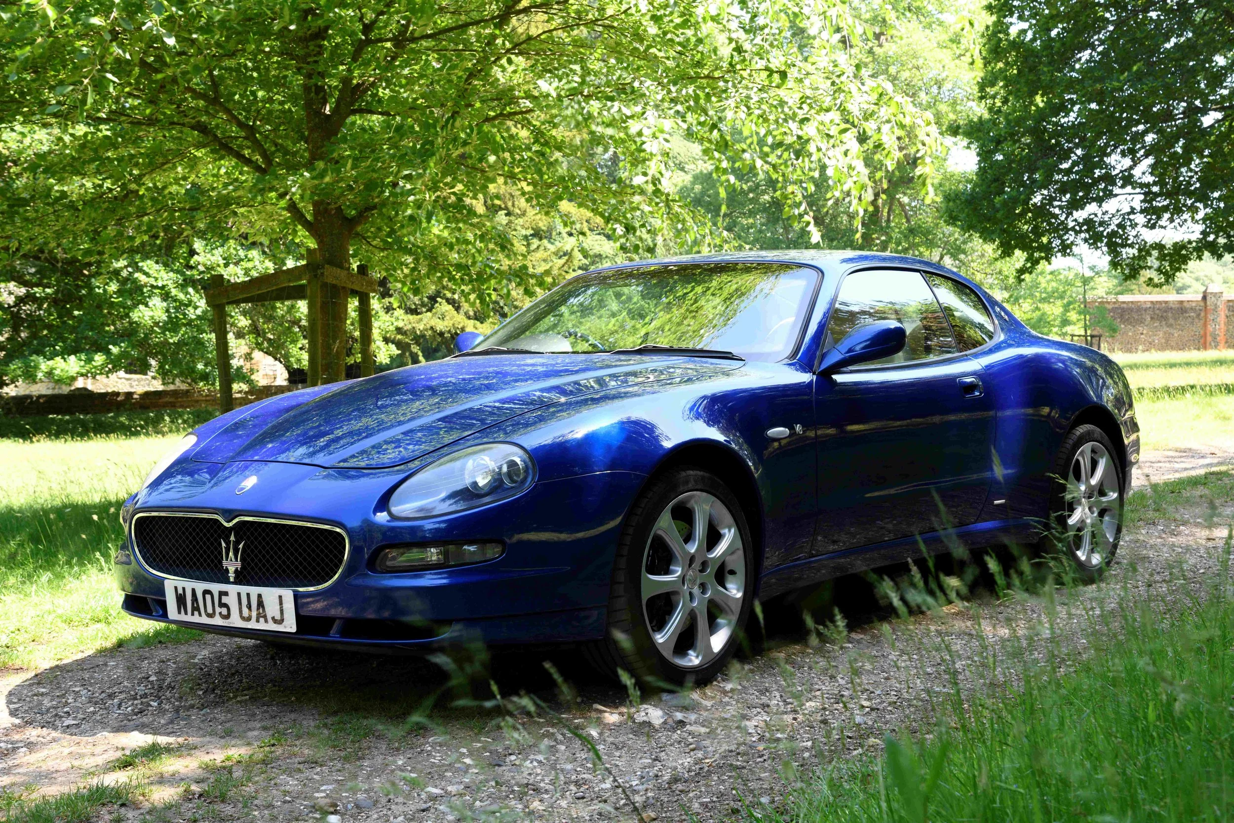 A blue Maserati sports car parked in a grassy area under green trees with sunlight filtering through the leaves.