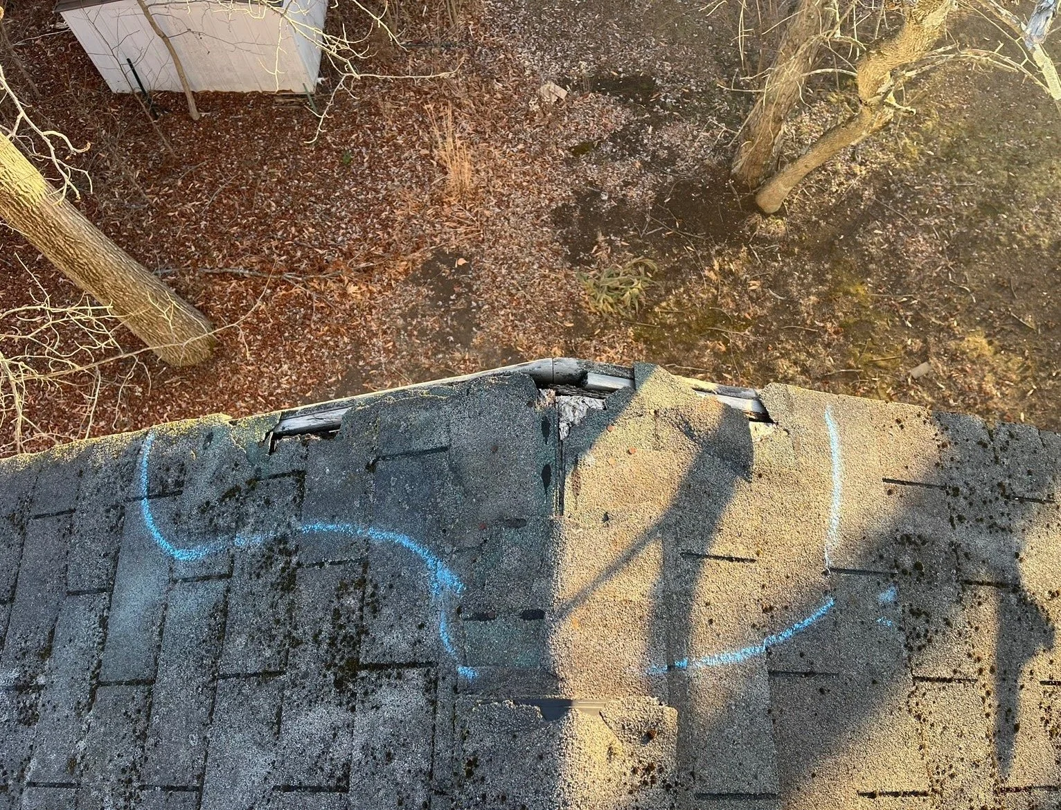 View from the roof showing fallen leaves, trees without leaves, and a bush. Part of the roof with blue spray paint markings and a damaged corner.