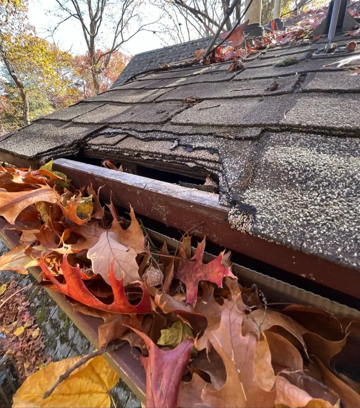 A close-up of a roof with damaged shingles, fallen autumn leaves, and a broken gutter.