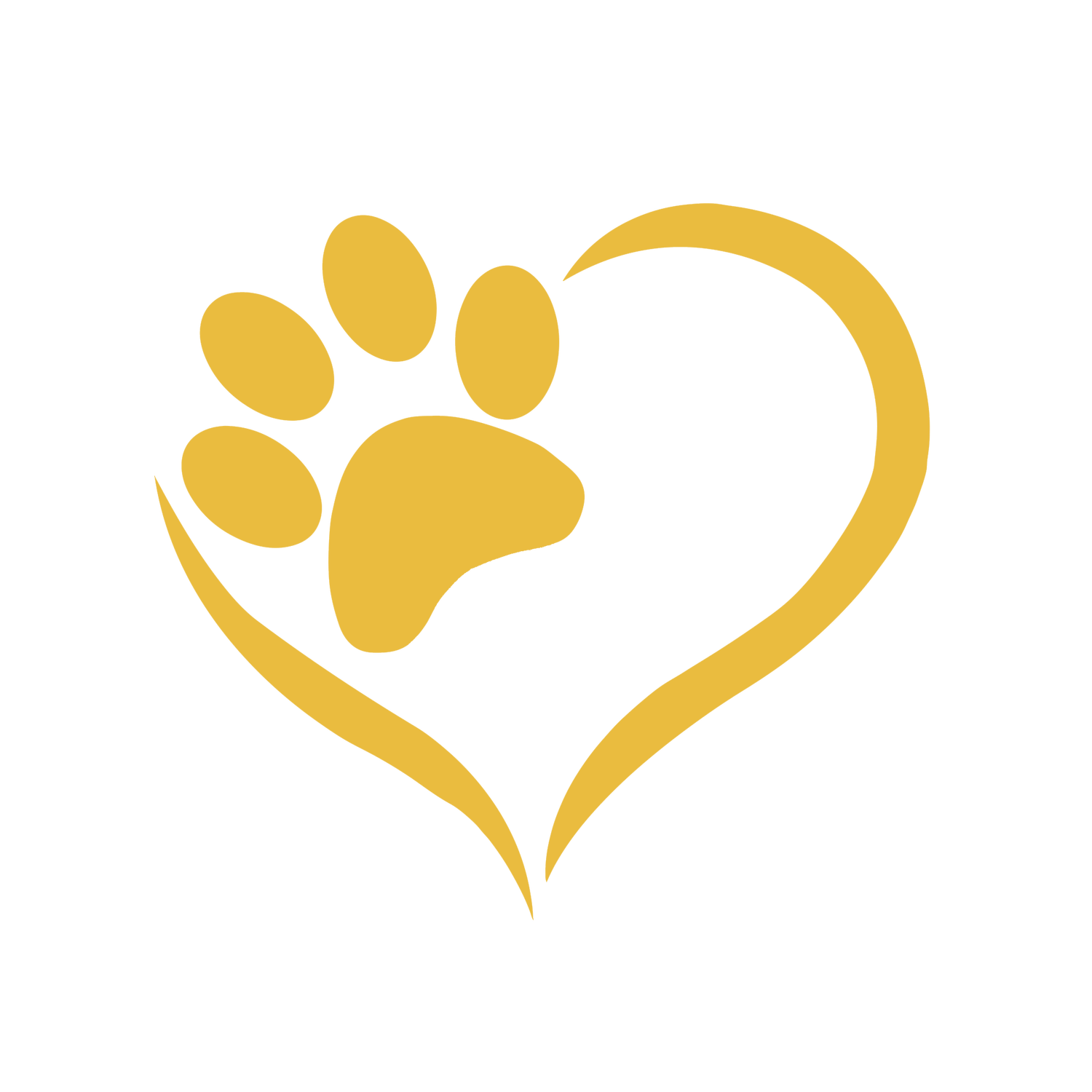 Race (Romanian Animal Care Europe)