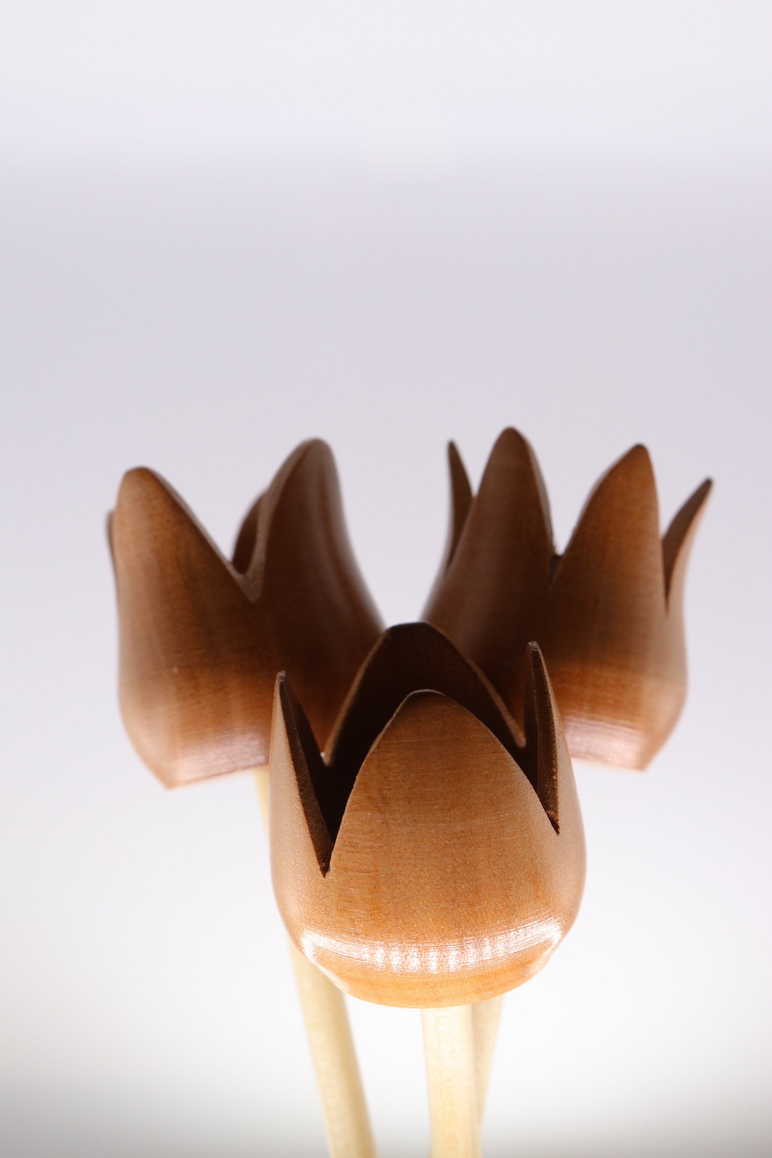 Natural wooden flowers