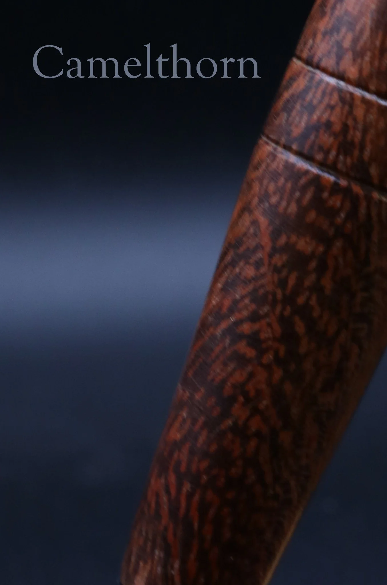 Camelthorn.JPG