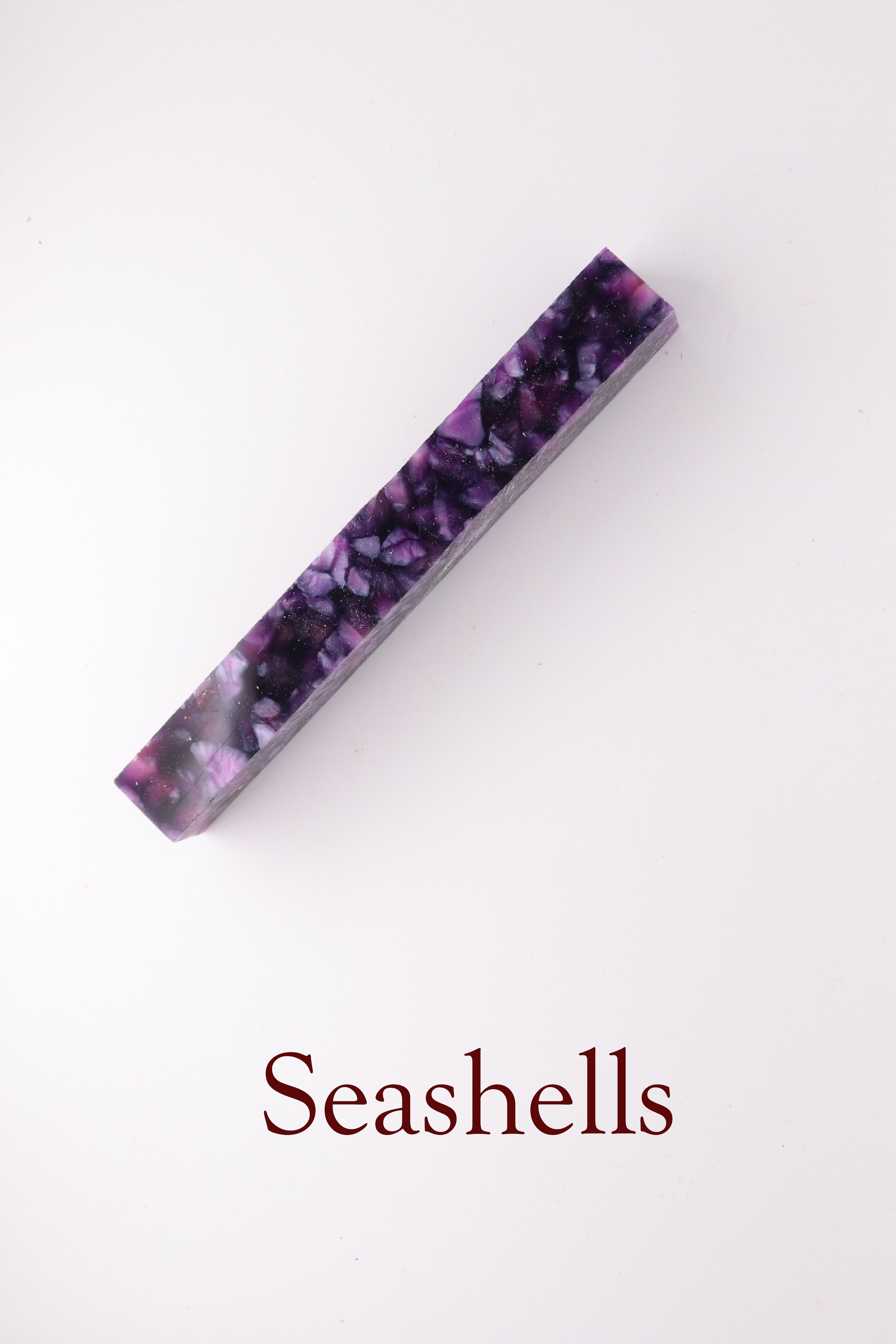 Seashells.JPG