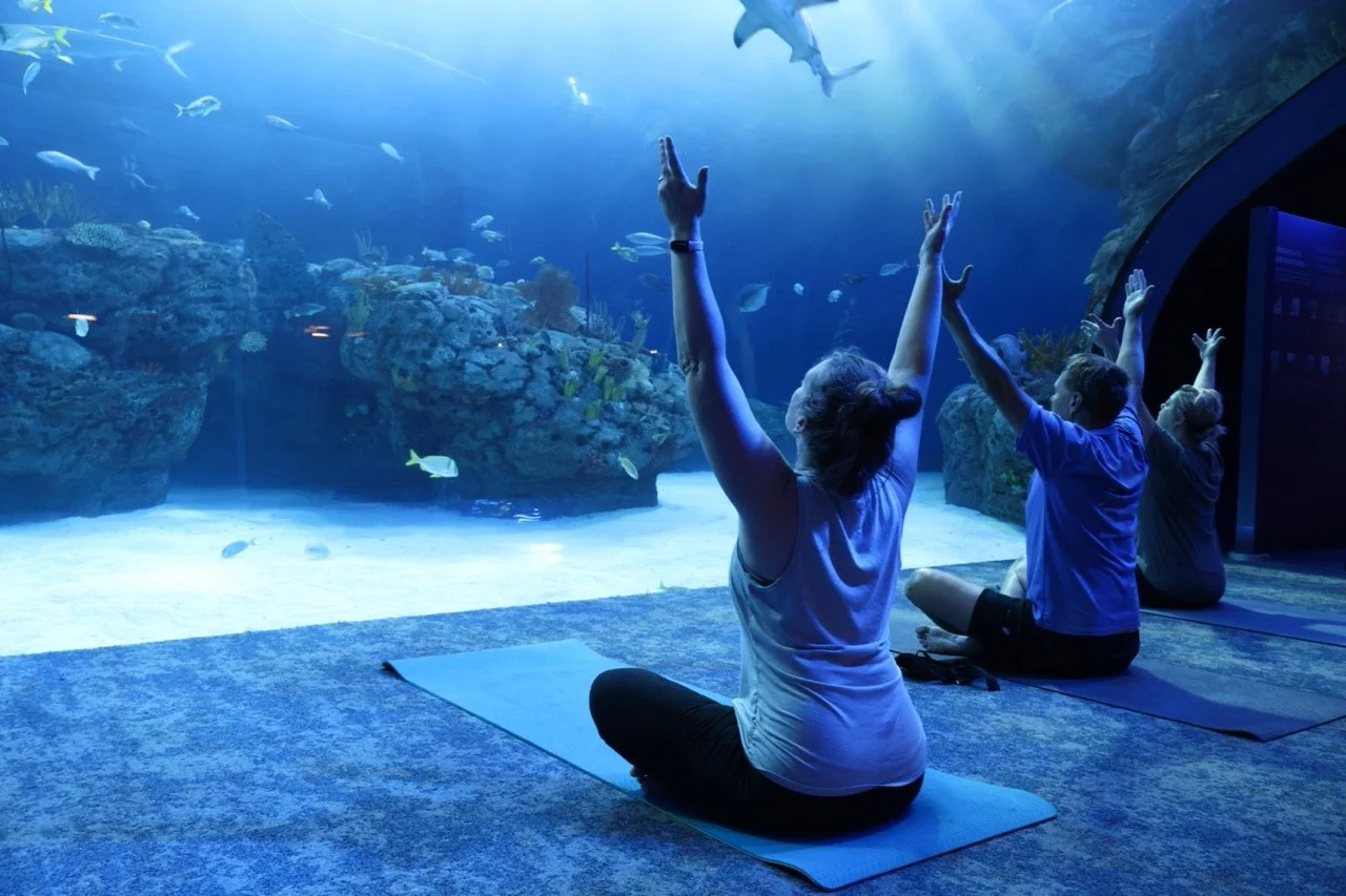 SEArenity Restore @ Mote SEA: Evening Restorative Yoga
