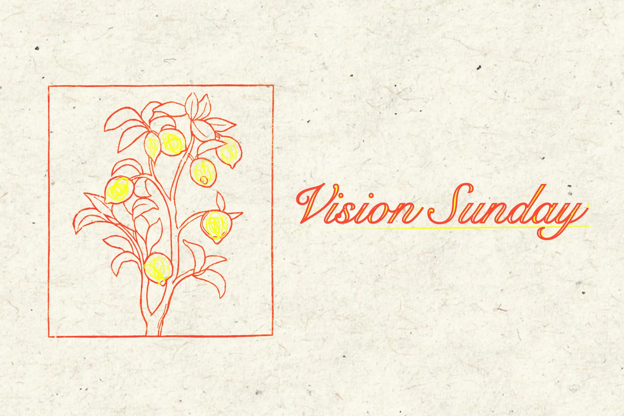 Vision Sunday