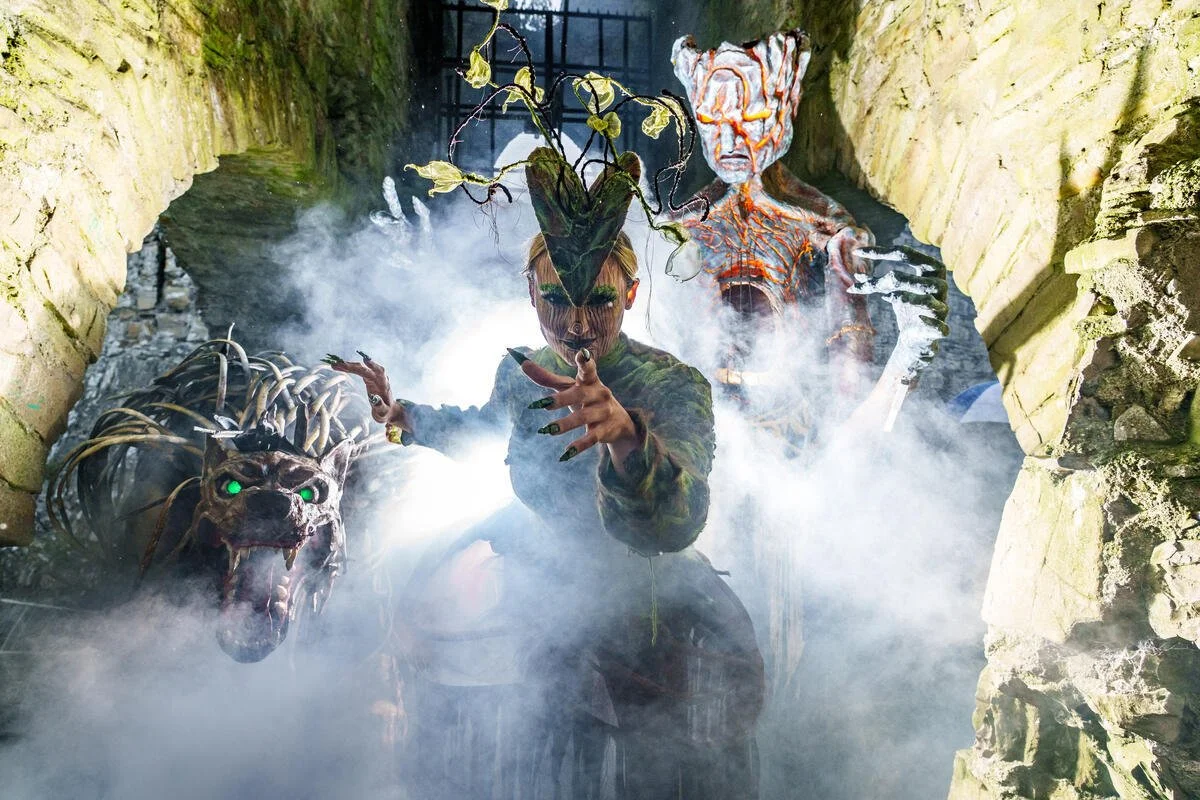 2025, Púca Festival,  Local Launch, Trim Co Meath_TI755IX.jpg