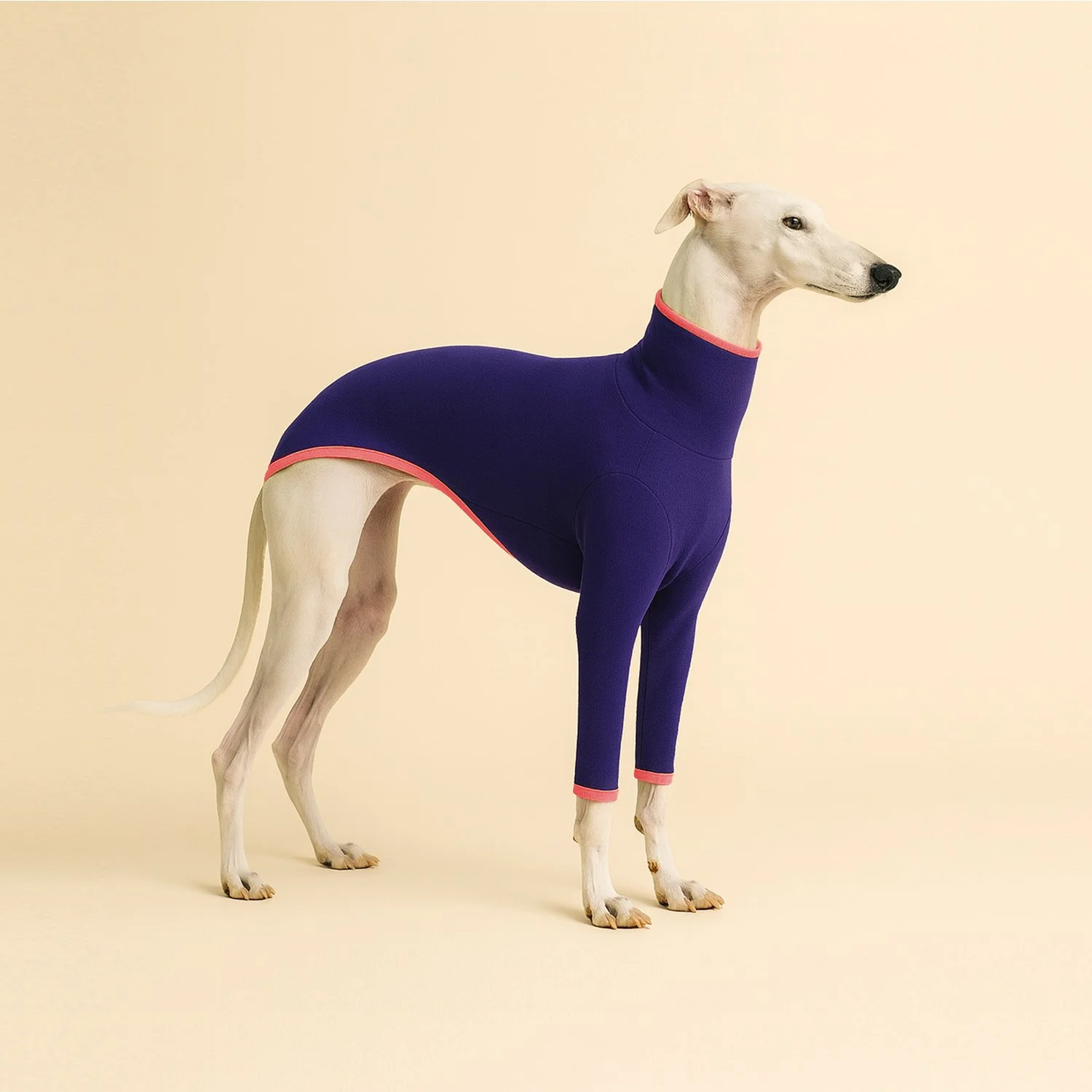 Col Roulé Luna Bleu Violet