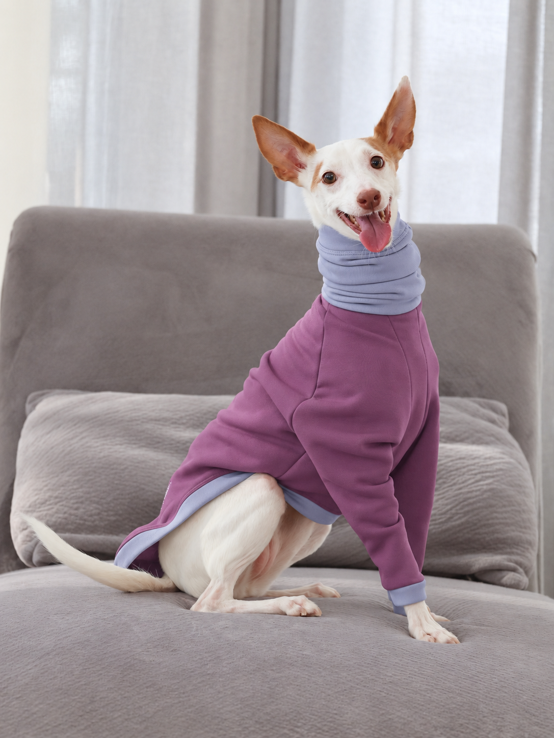 Z003-Polly-Aubergine-Gris-5.png