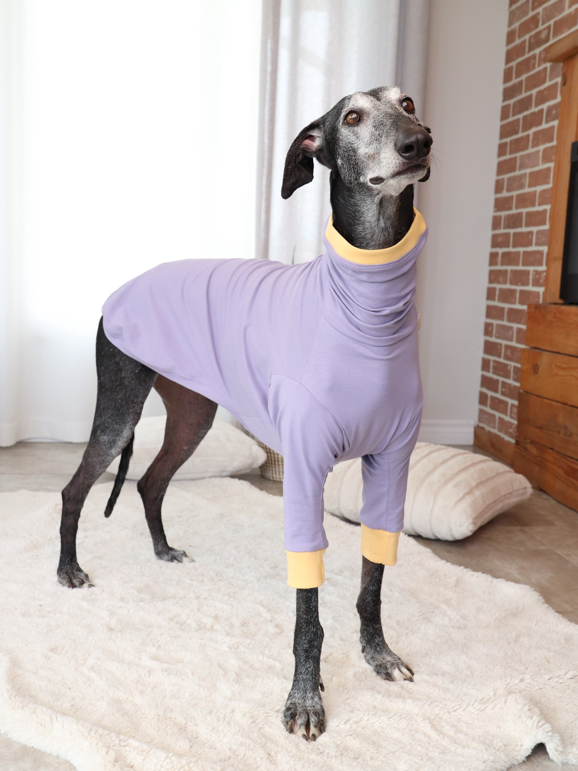 Col Roulé Luna Lilas