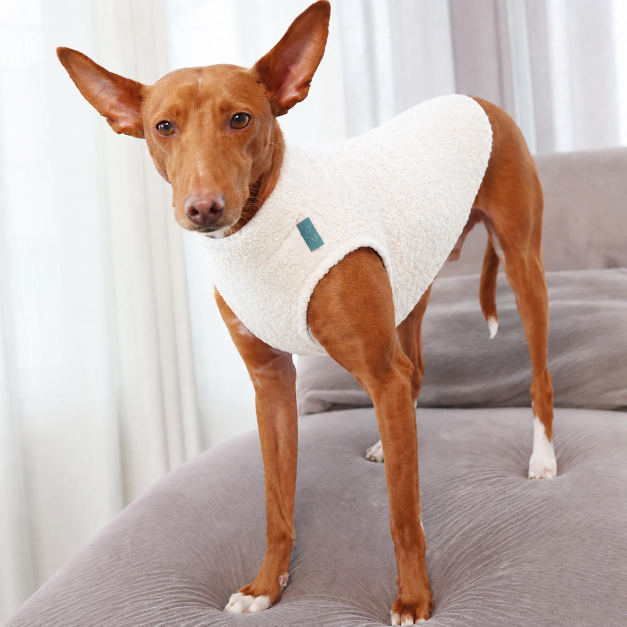 Z008-gilet-bouclé-blanc-2.PNG