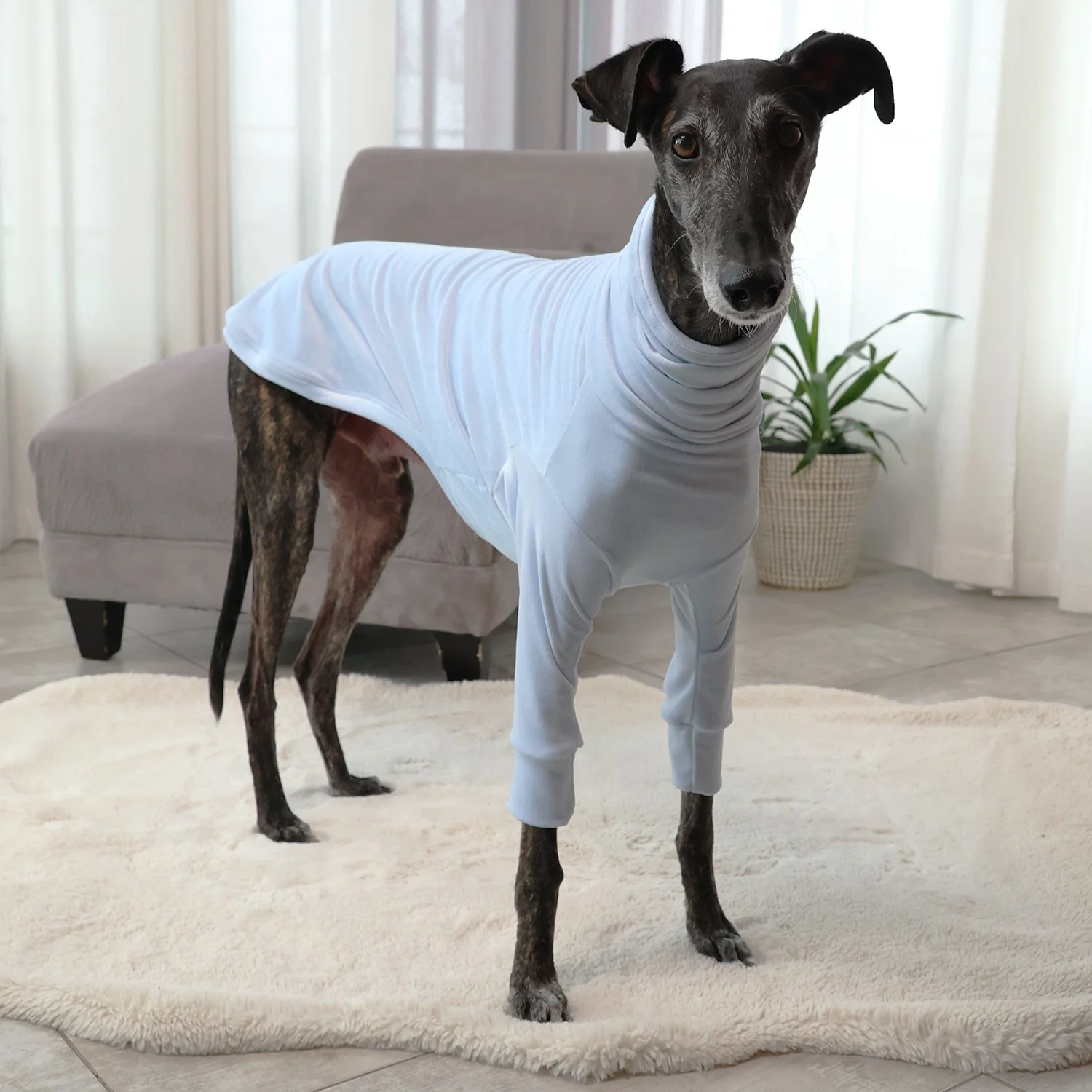 Col Roulé Luna Bleu Ciel