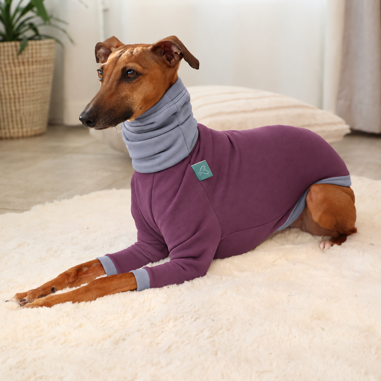 Z003-Polly-Aubergine-Gris-6.png