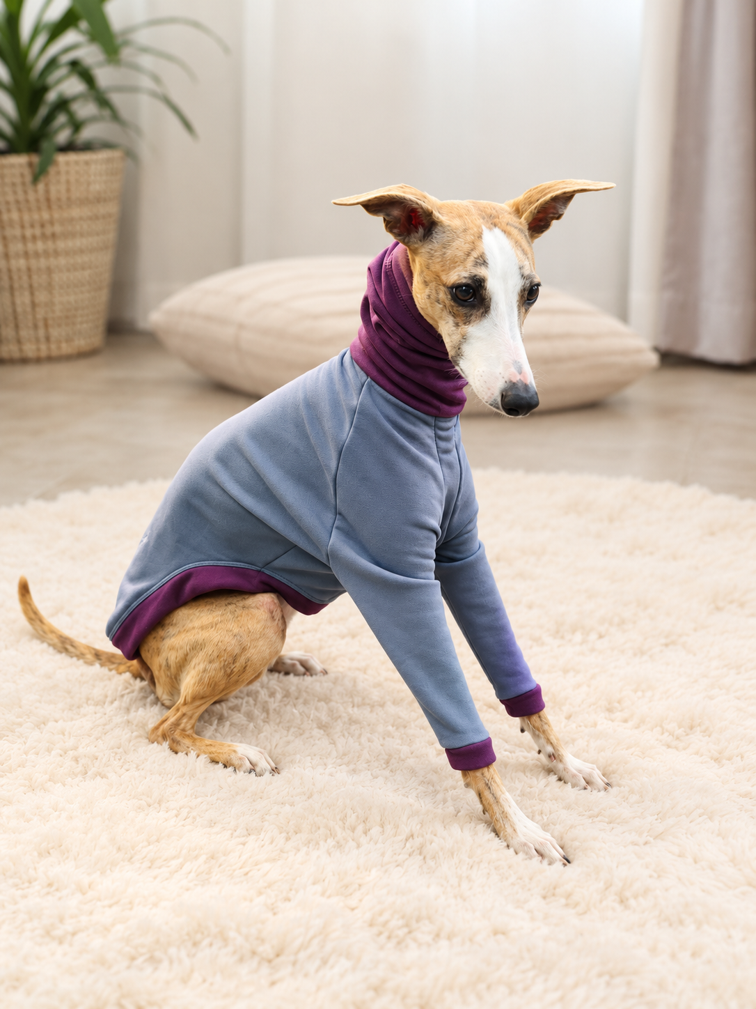 Z003-Polly-Gris-Aubergine-5.png