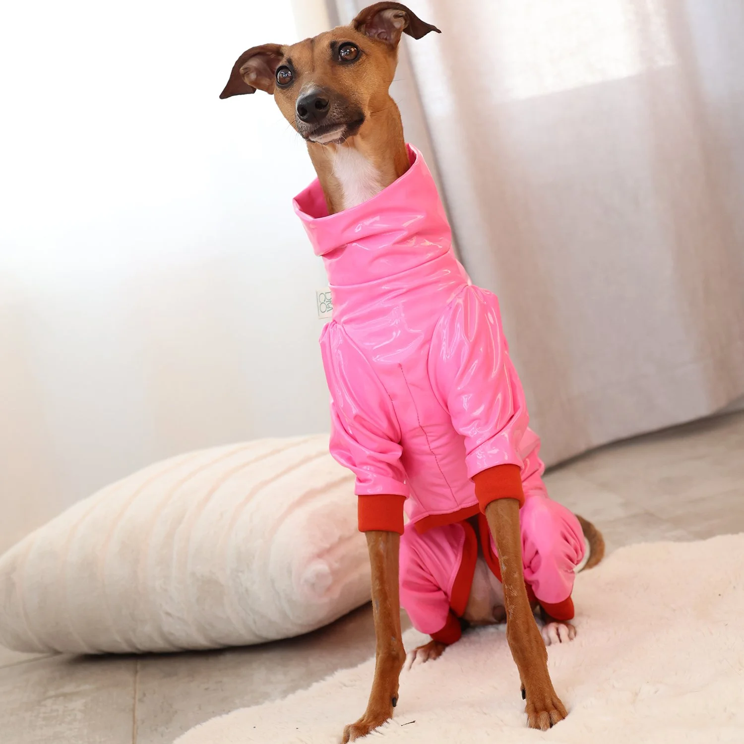 Z010-rainCoat-rose-2.jpg