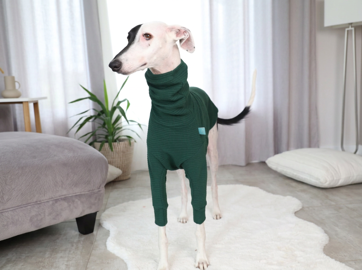 Col Roulé Luna Vert Pine Rib