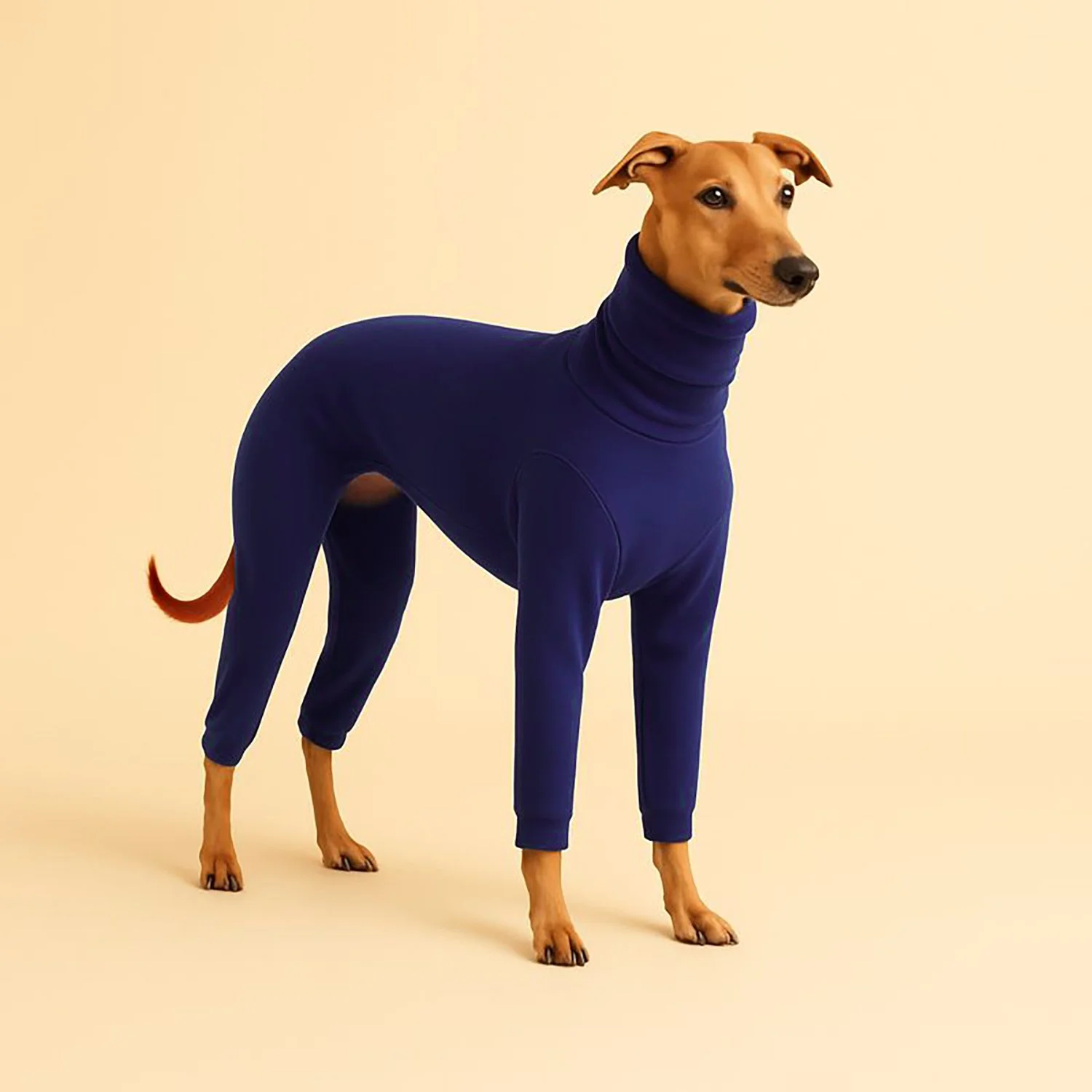 Combinaison Fuego - Bleu Violet