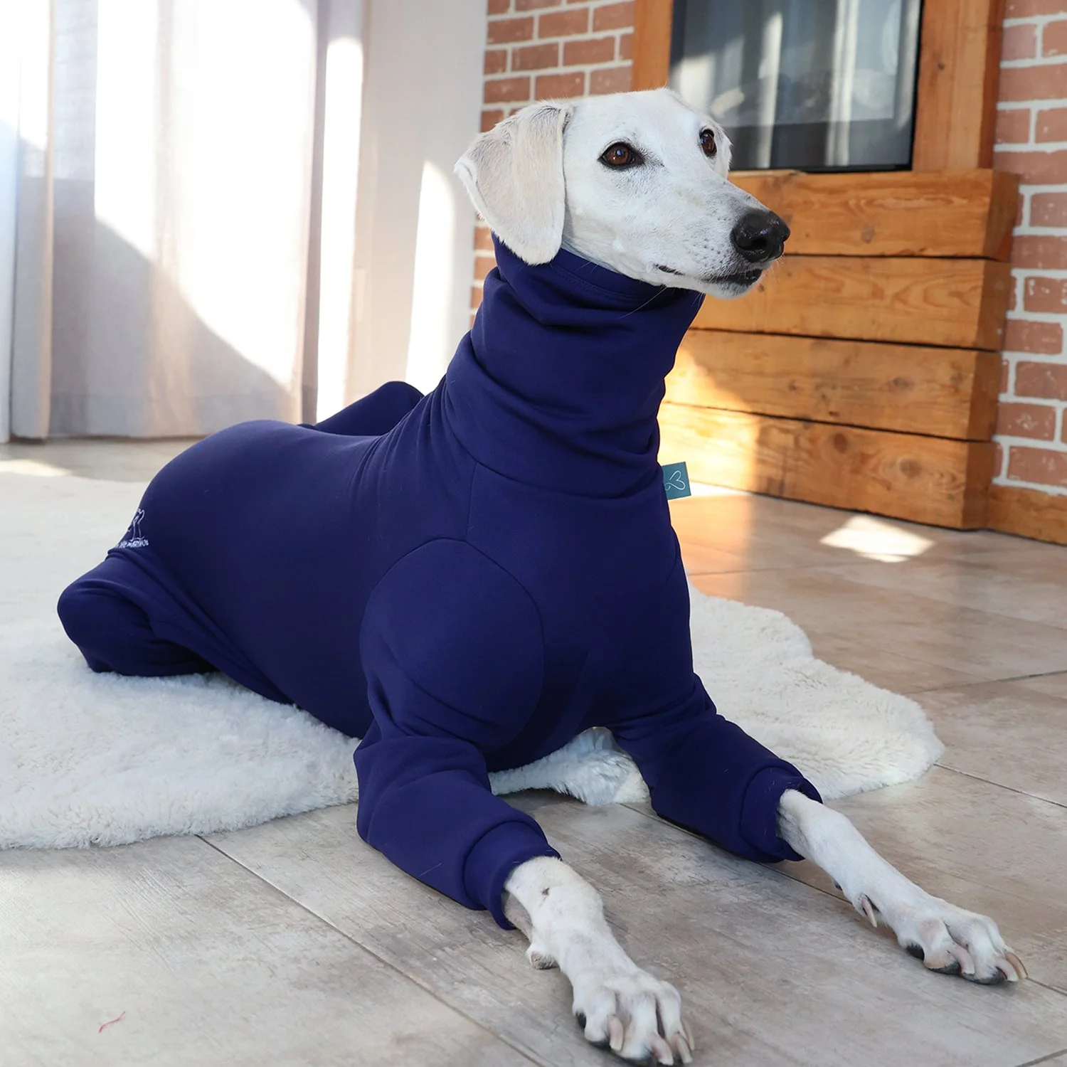 Combinaison Fuego - Bleu Violet