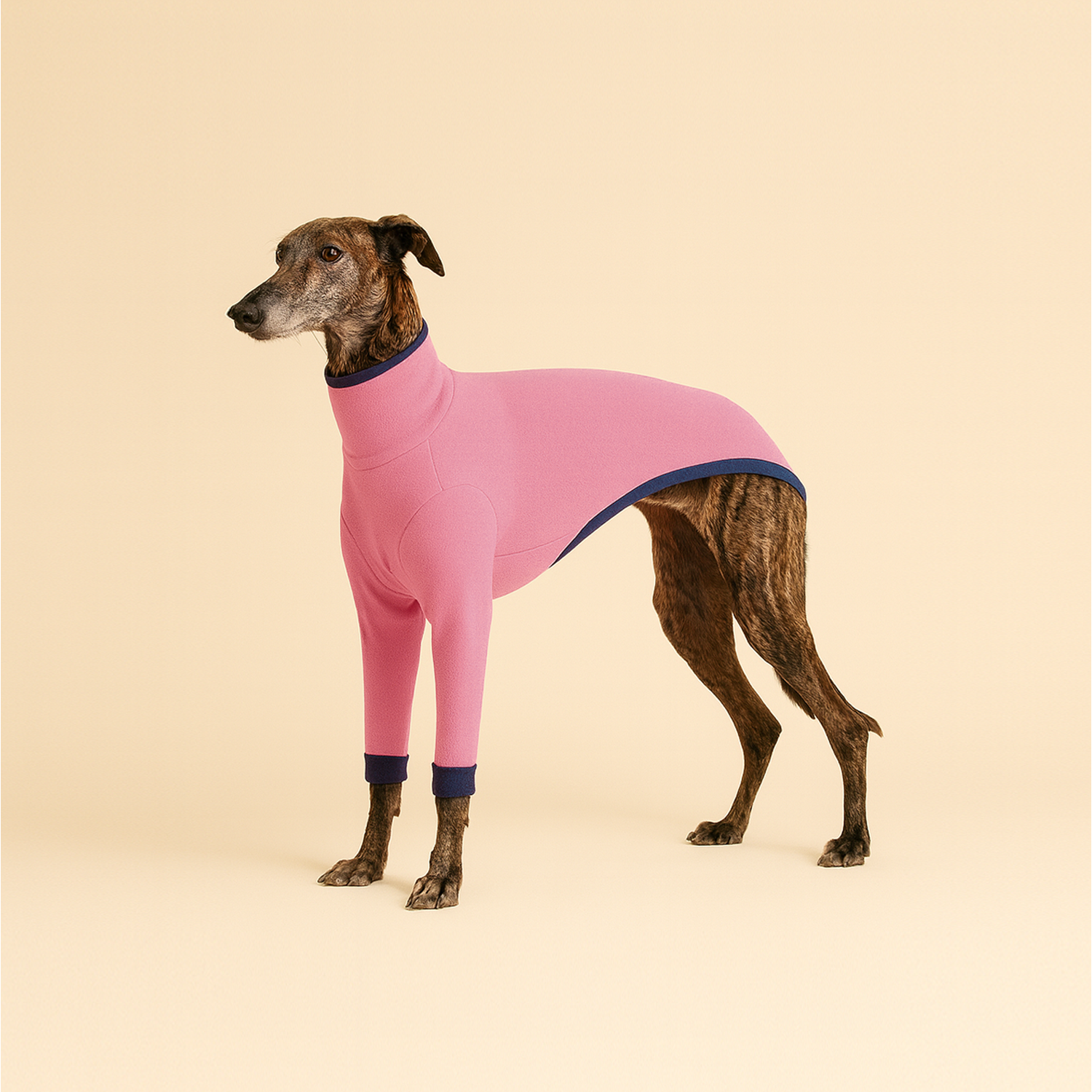 Col Roulé Luna Rose