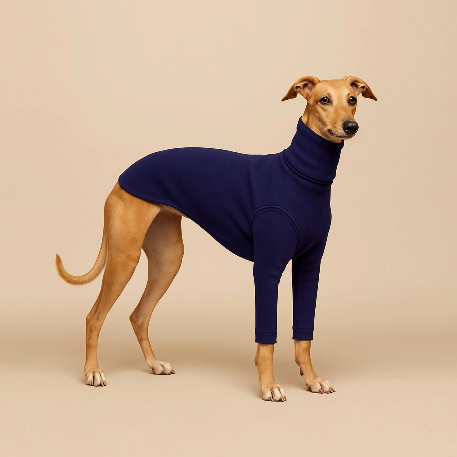 Col Roulé Luna Bleu Violet