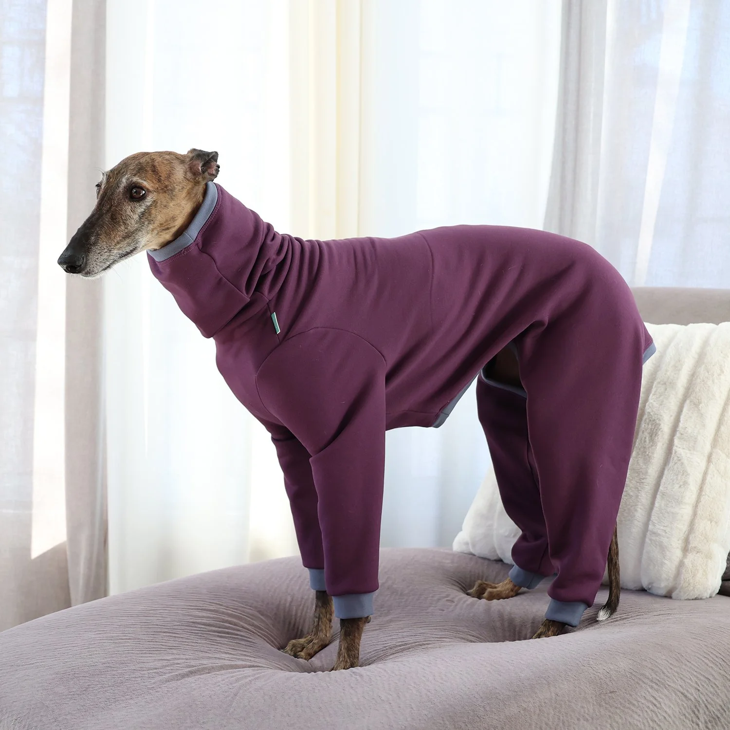 Combinaison Fuego - Aubergine