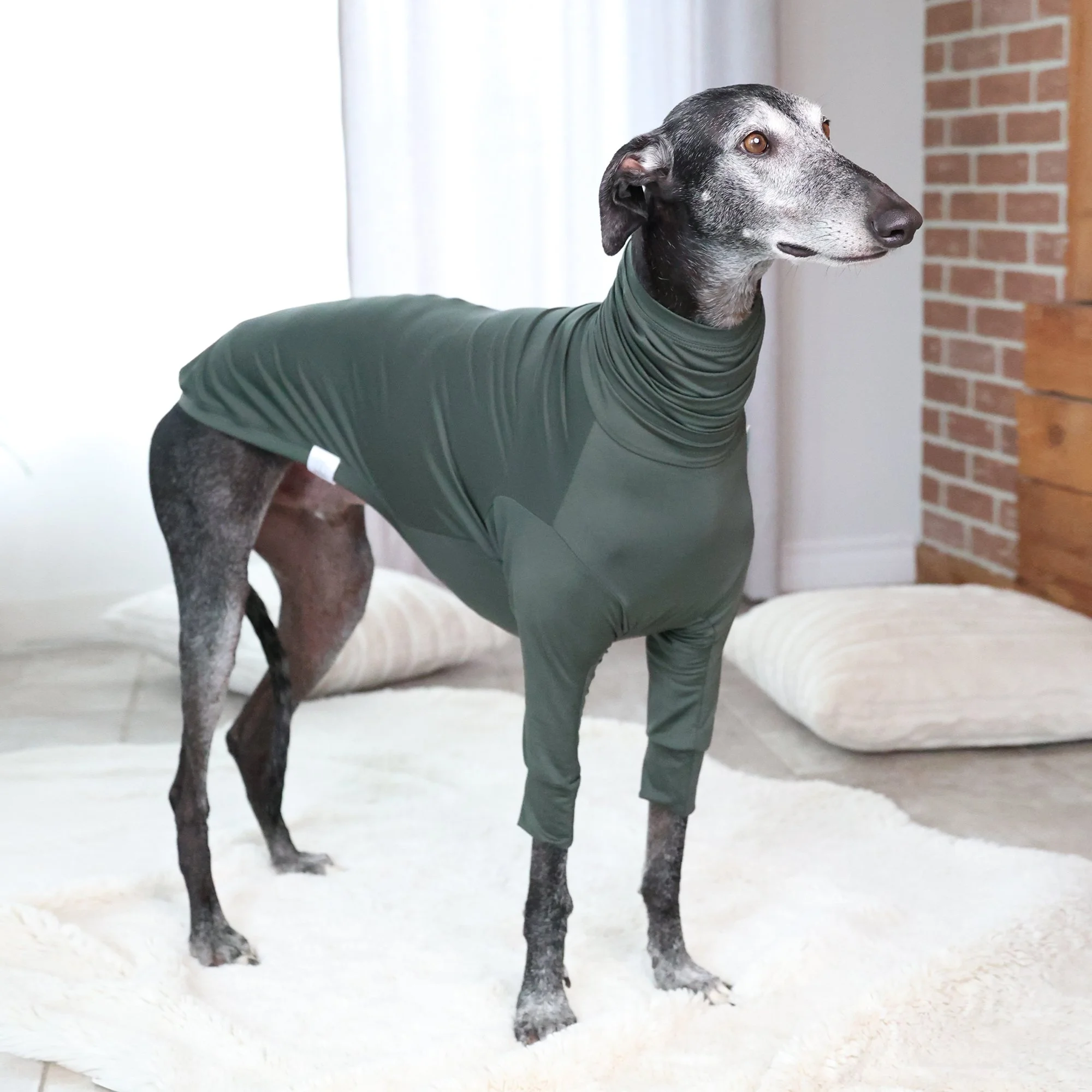 Col Roulé Luna UV+ Vert Olive