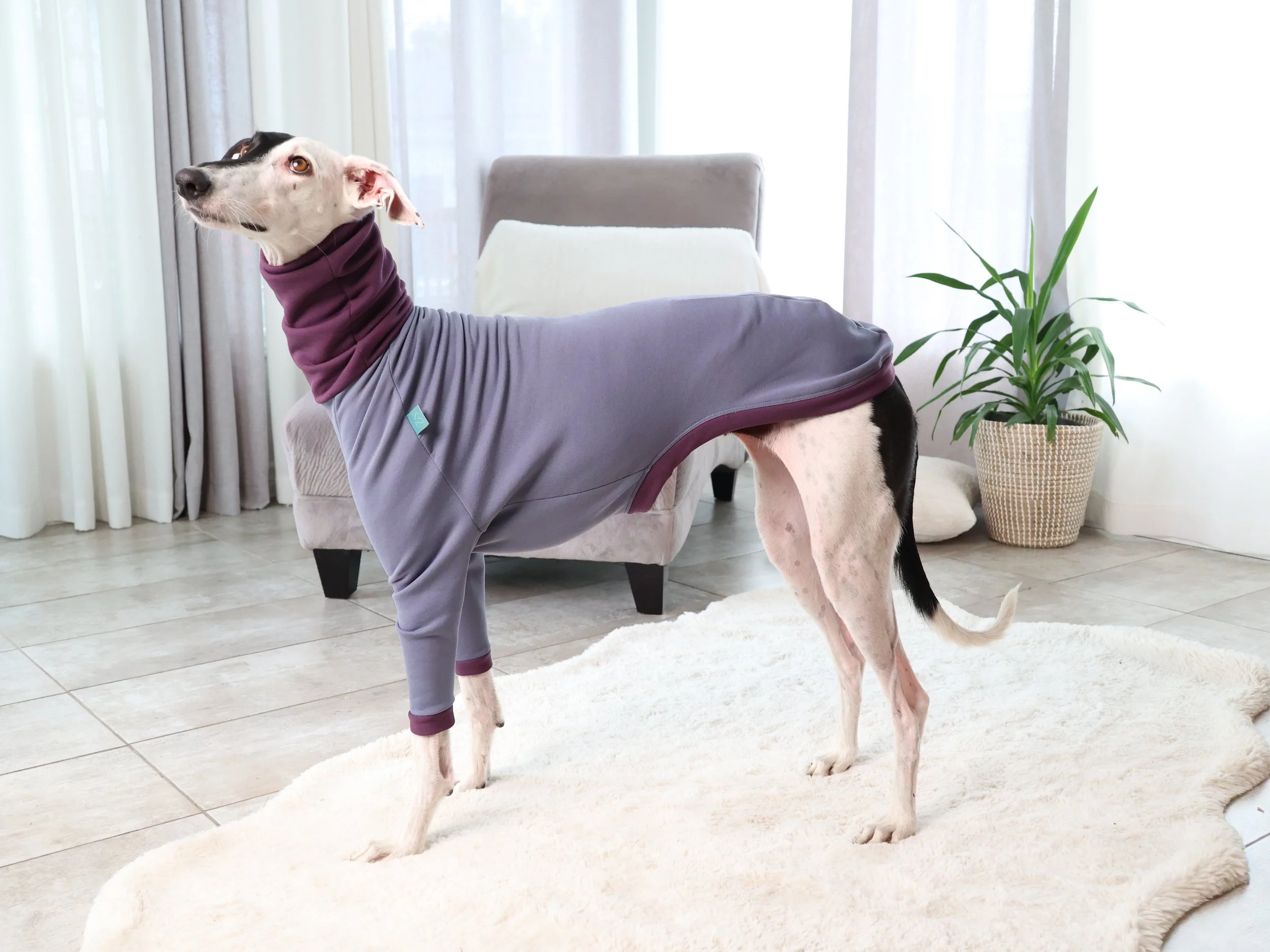 Z003-Polly-Gris-Aubergine-2.JPG