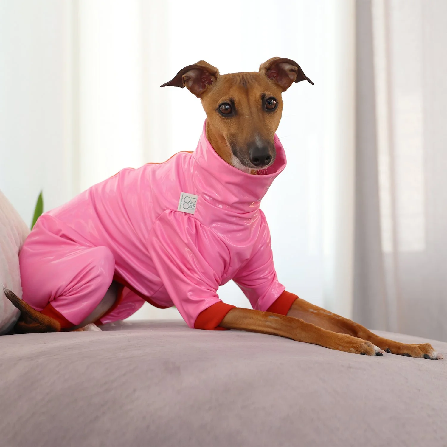 Z010-rainCoat-rose-3.jpg