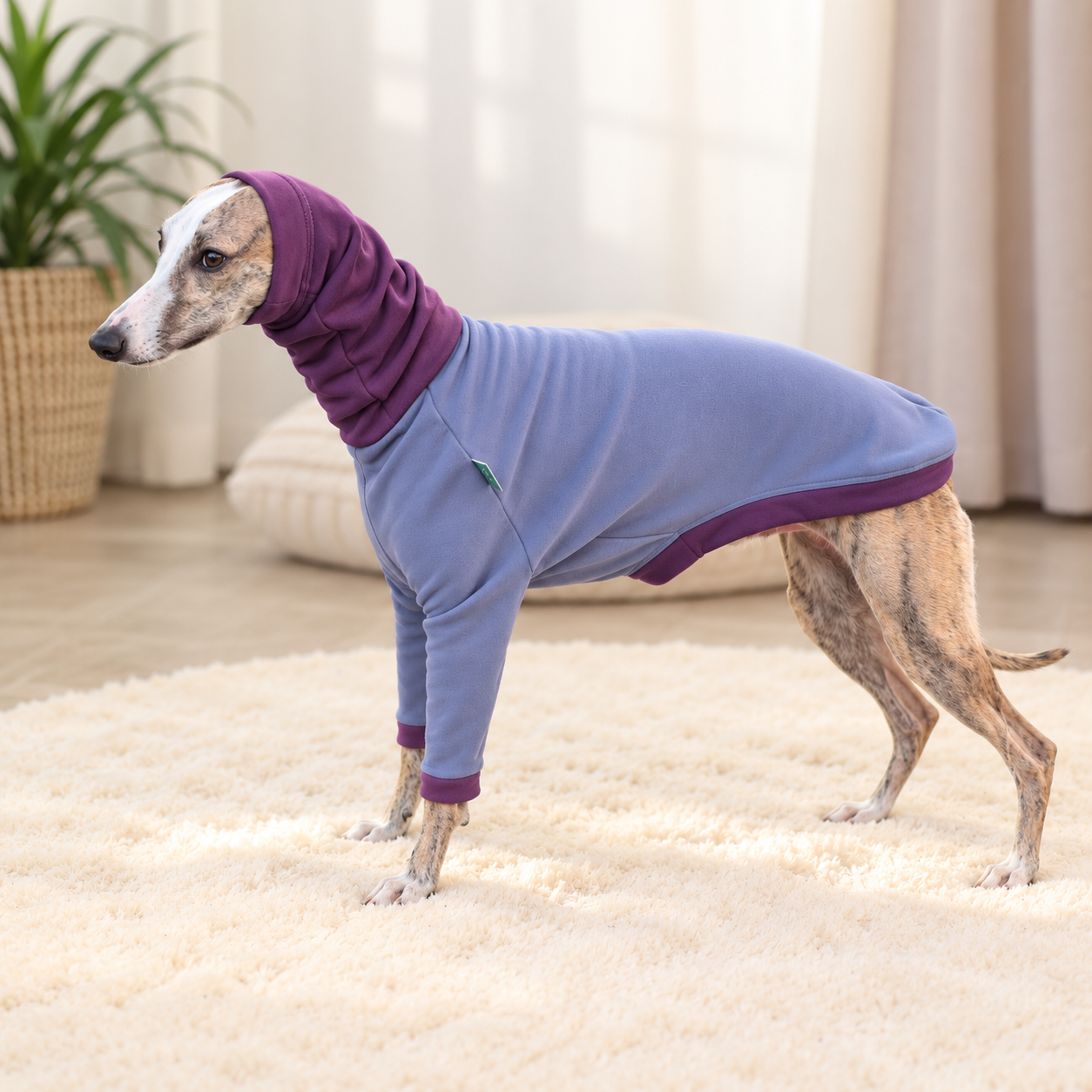 Z003-Polly-Gris-Aubergine-4.png