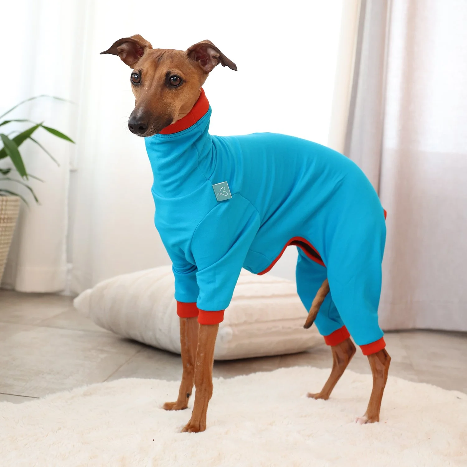 Combinaison Fuego - Turquoise