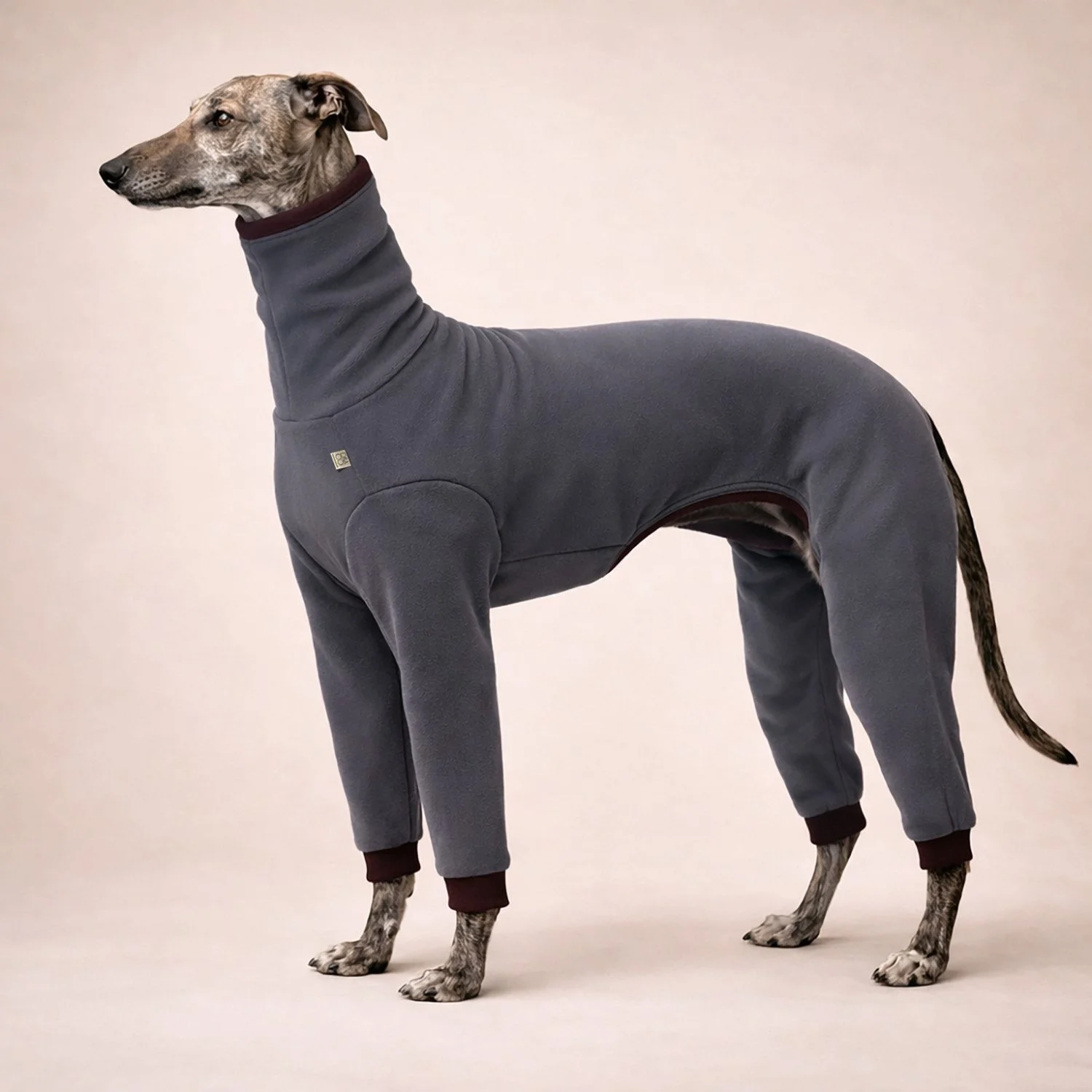 Combinaison Fuego - Grise