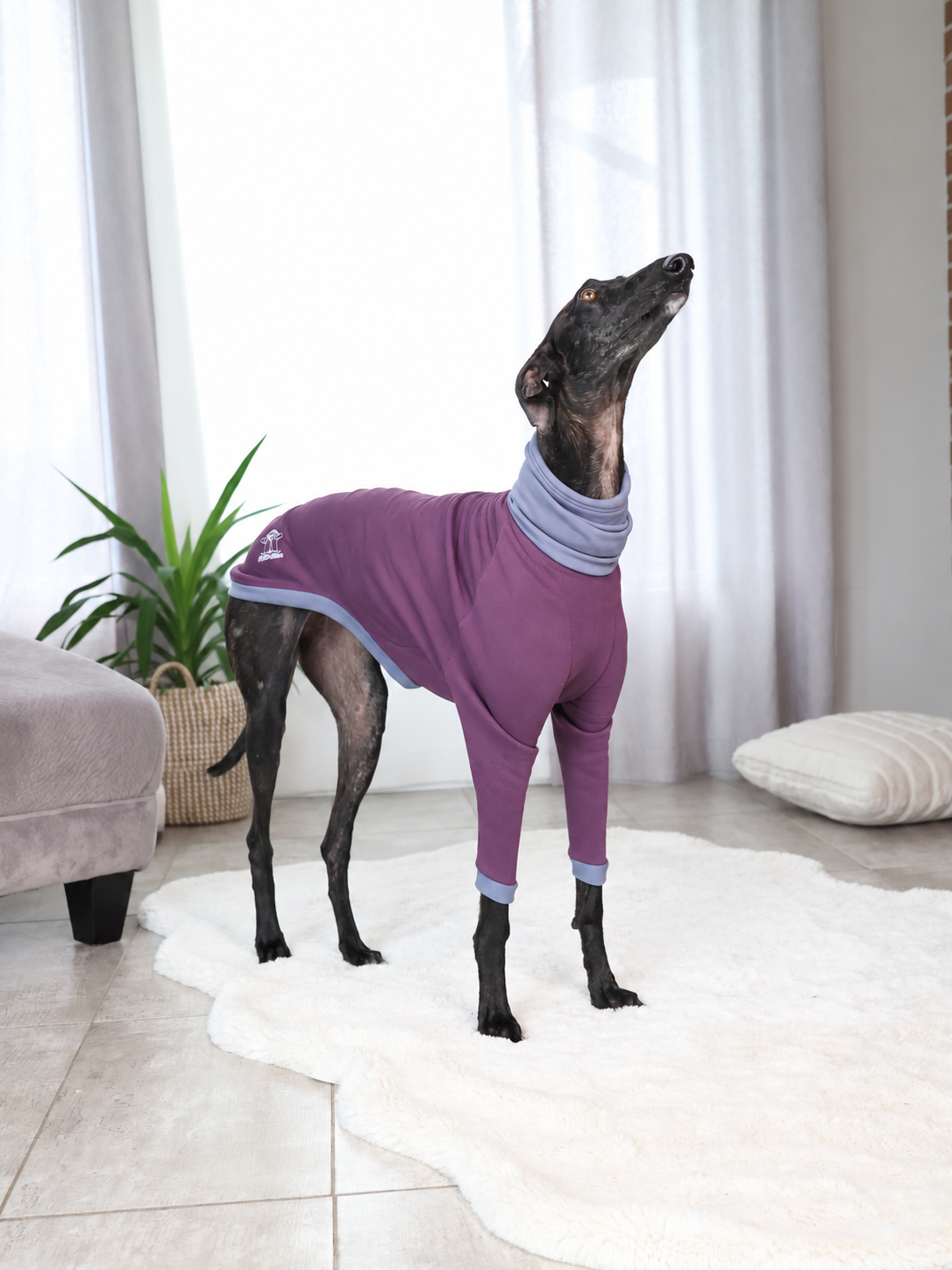 Z003-Polly-Aubergine-Gris-3.png