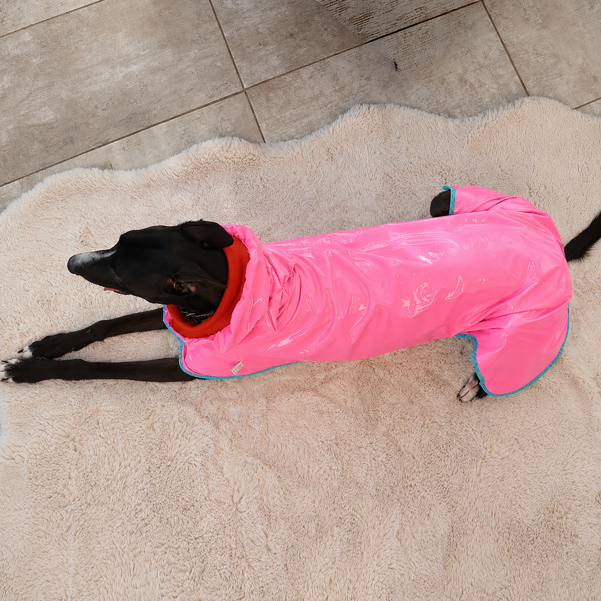 Z010-rainCoat-rose-4-new.png