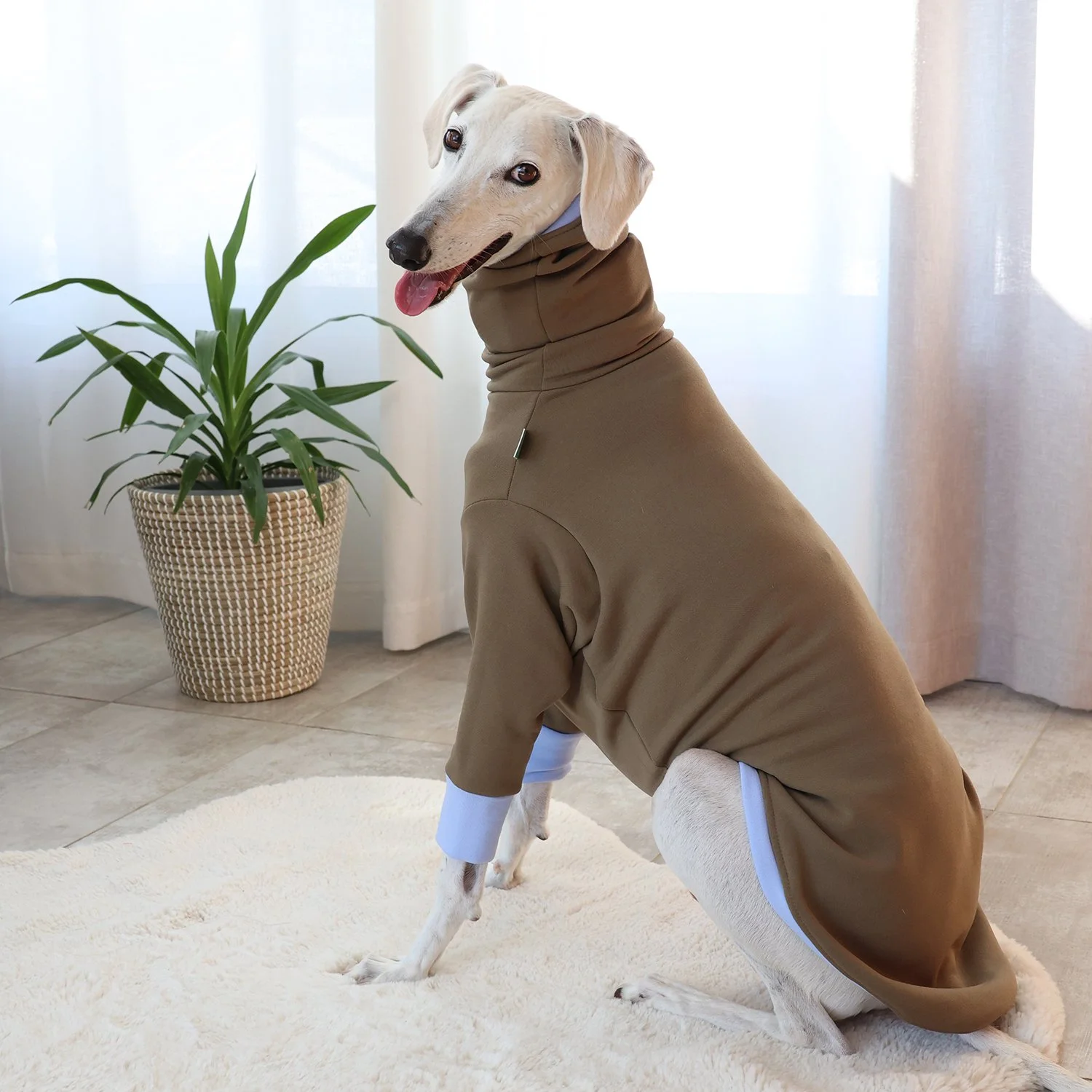 Col Roulé Luna Camel