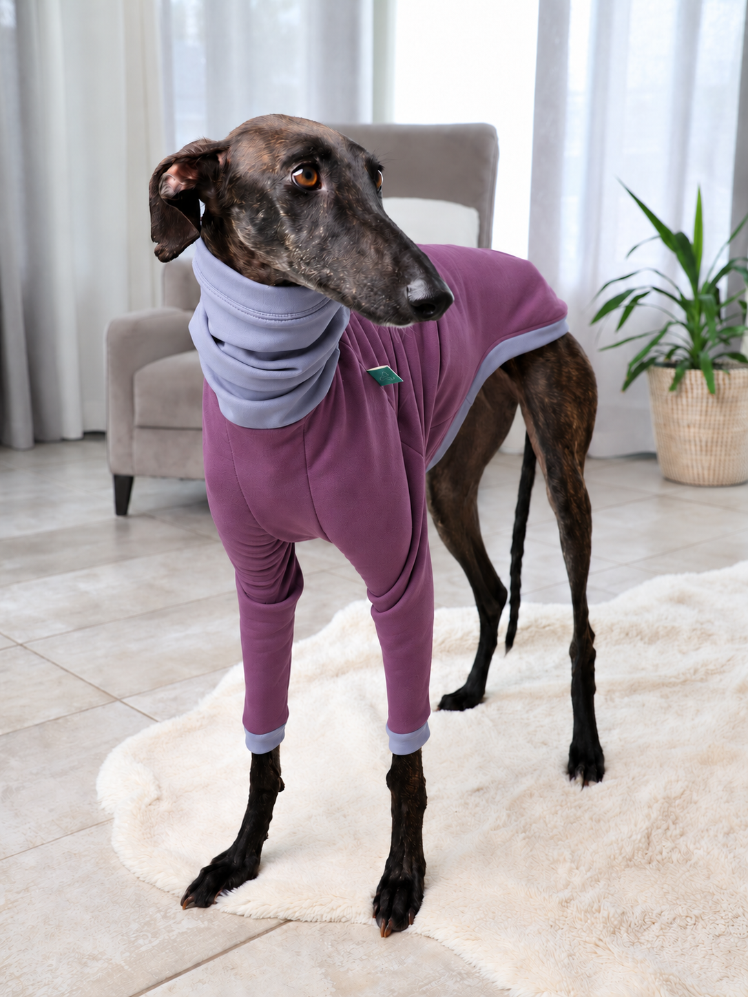 Z003-Polly-Aubergine-Gris-2b.png