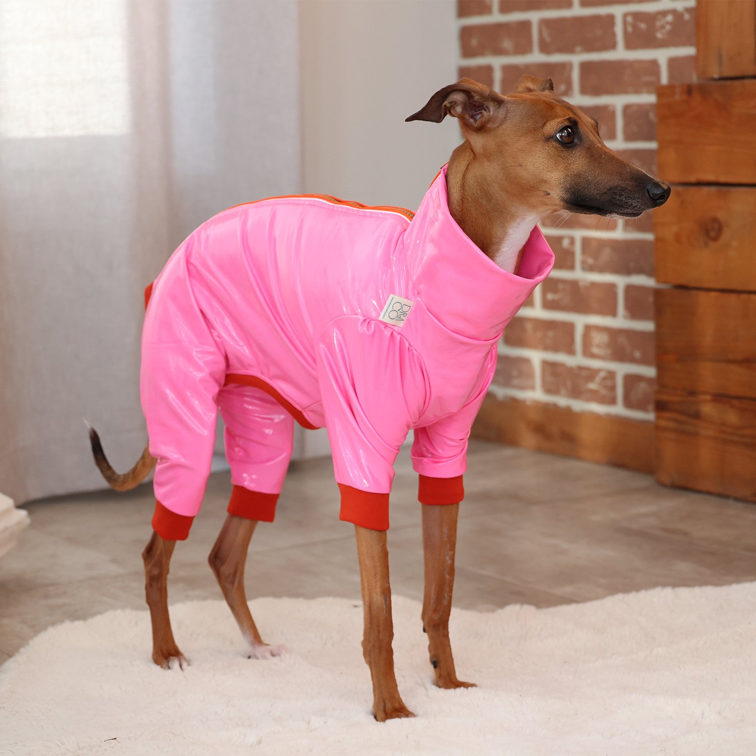 Z010-rainCoat-rose-1.jpg
