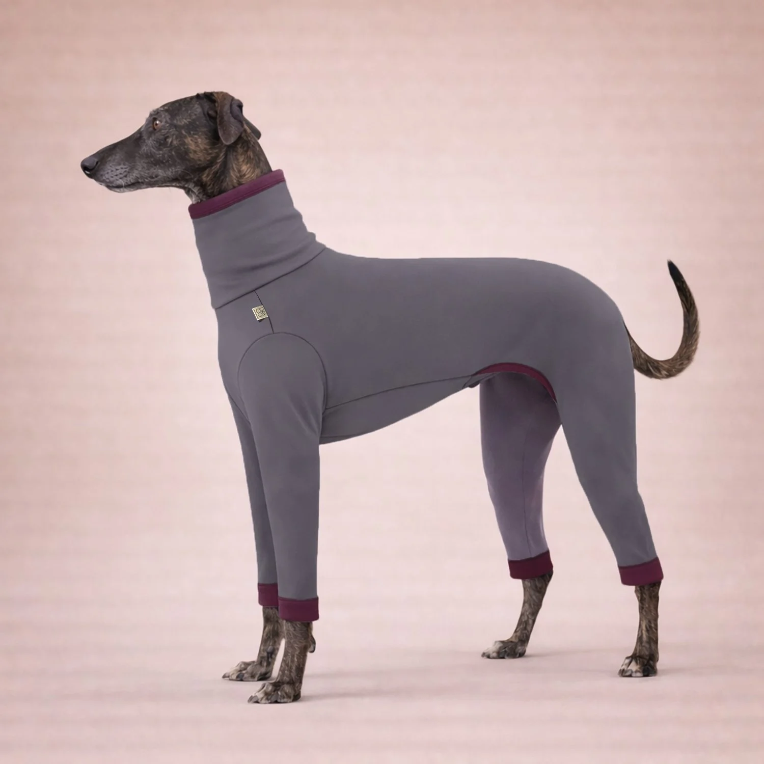 Combinaison Fuego - Grise