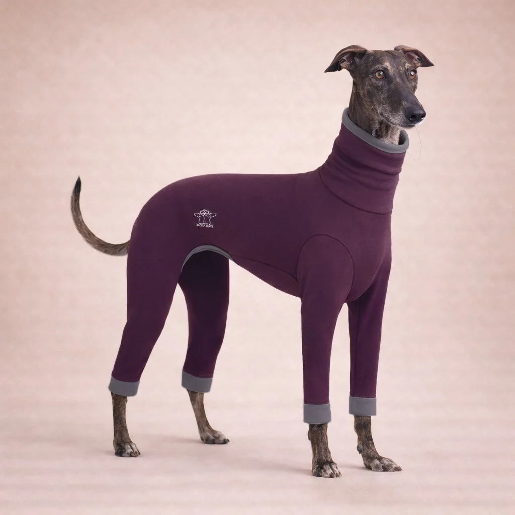 Combinaison Fuego - Aubergine