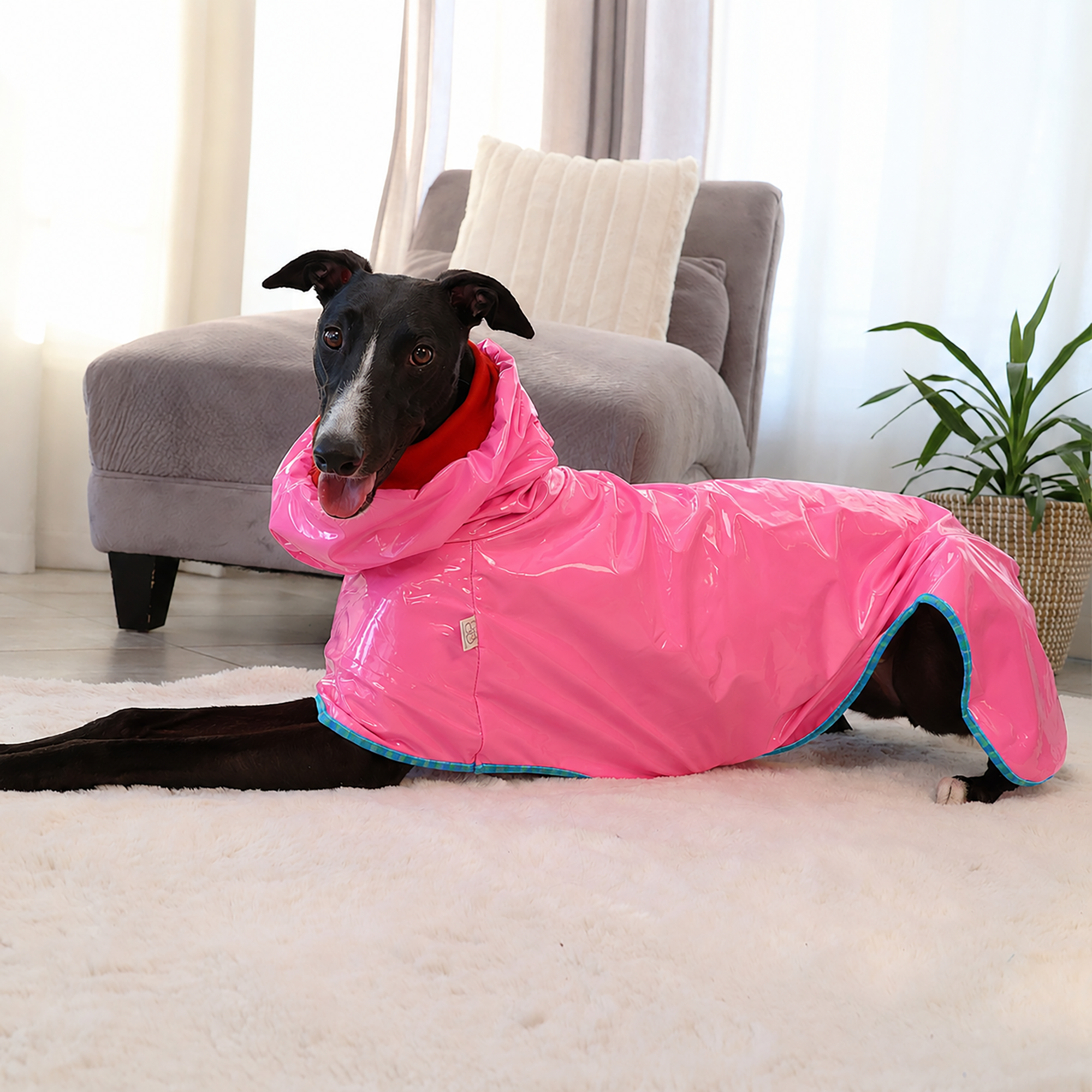 Z010-rainCoat-rose-5-new.png