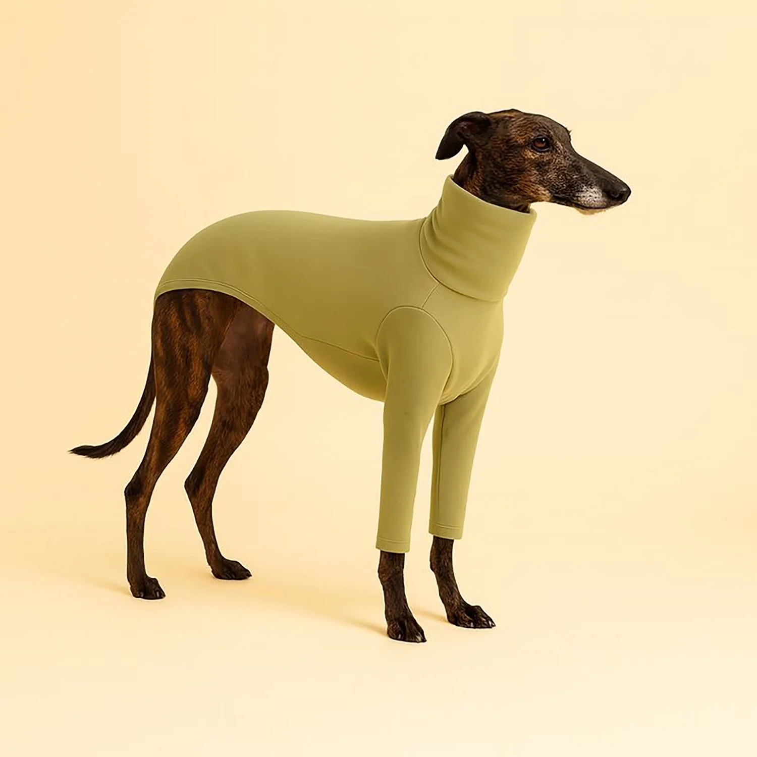 Col Roulé Luna Beige